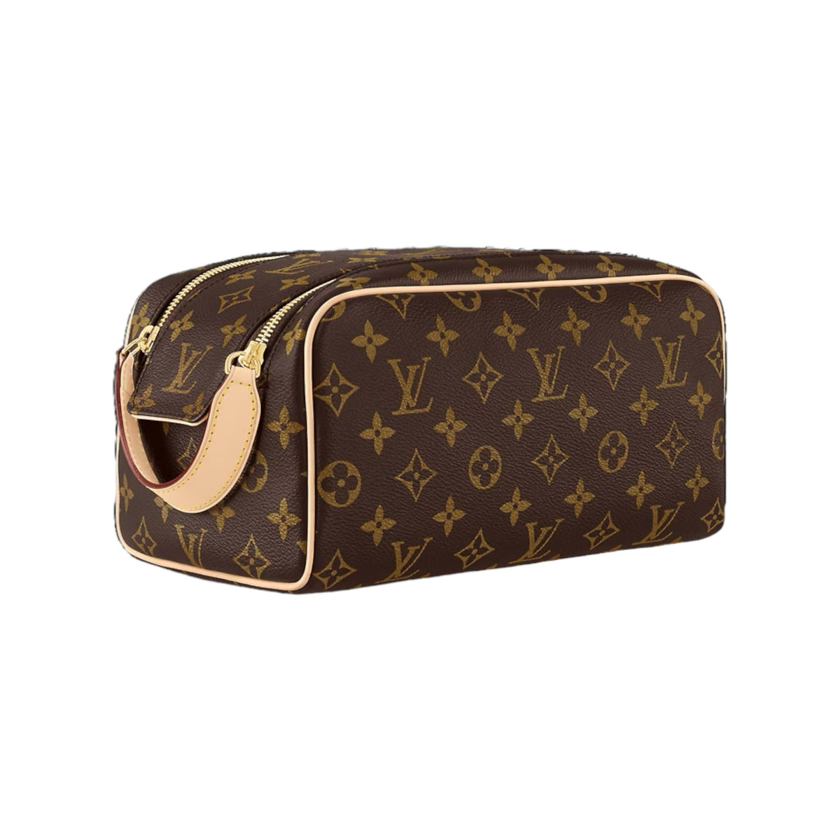 Louis Vuitton Hand Bag