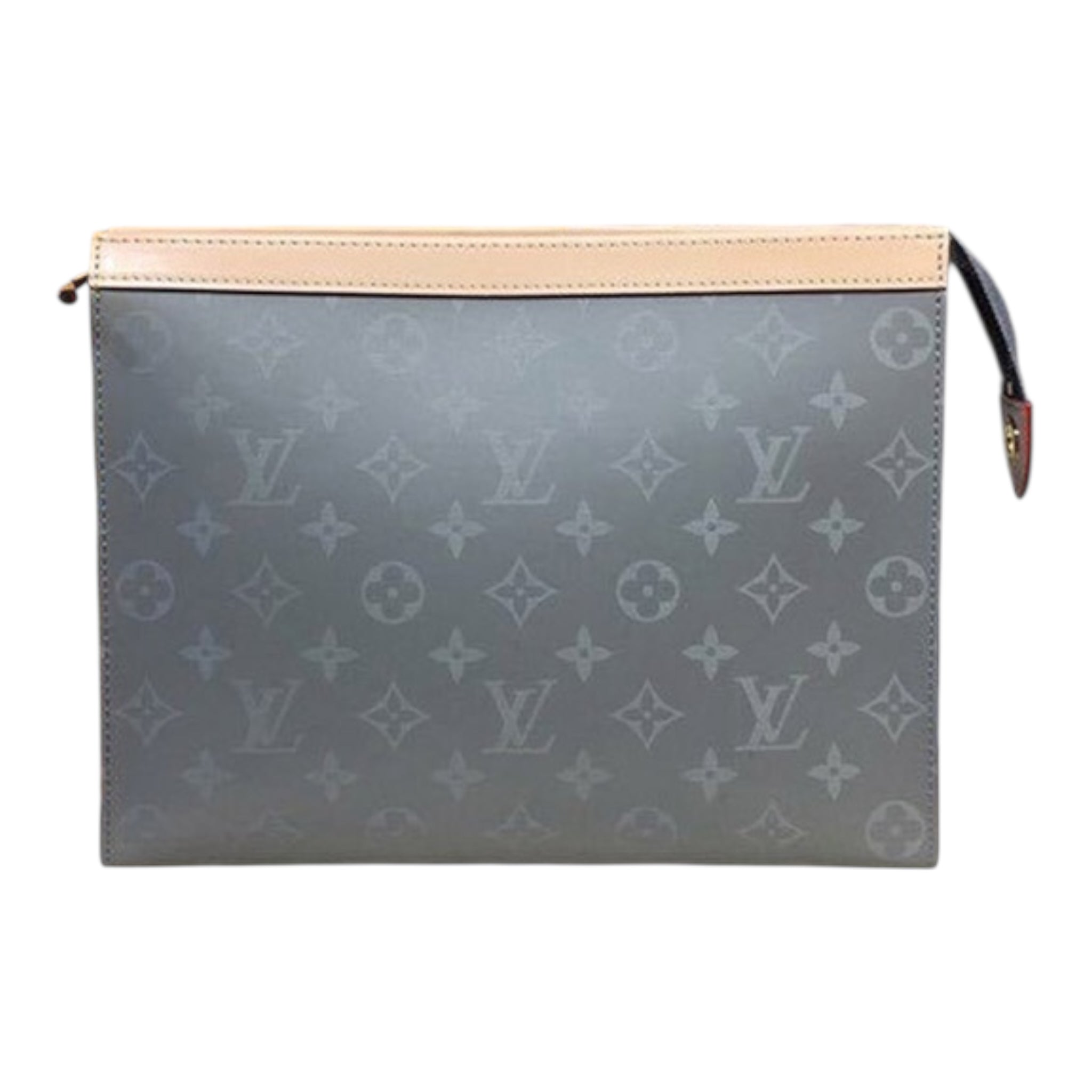 Louis Vuitton Hand Bag