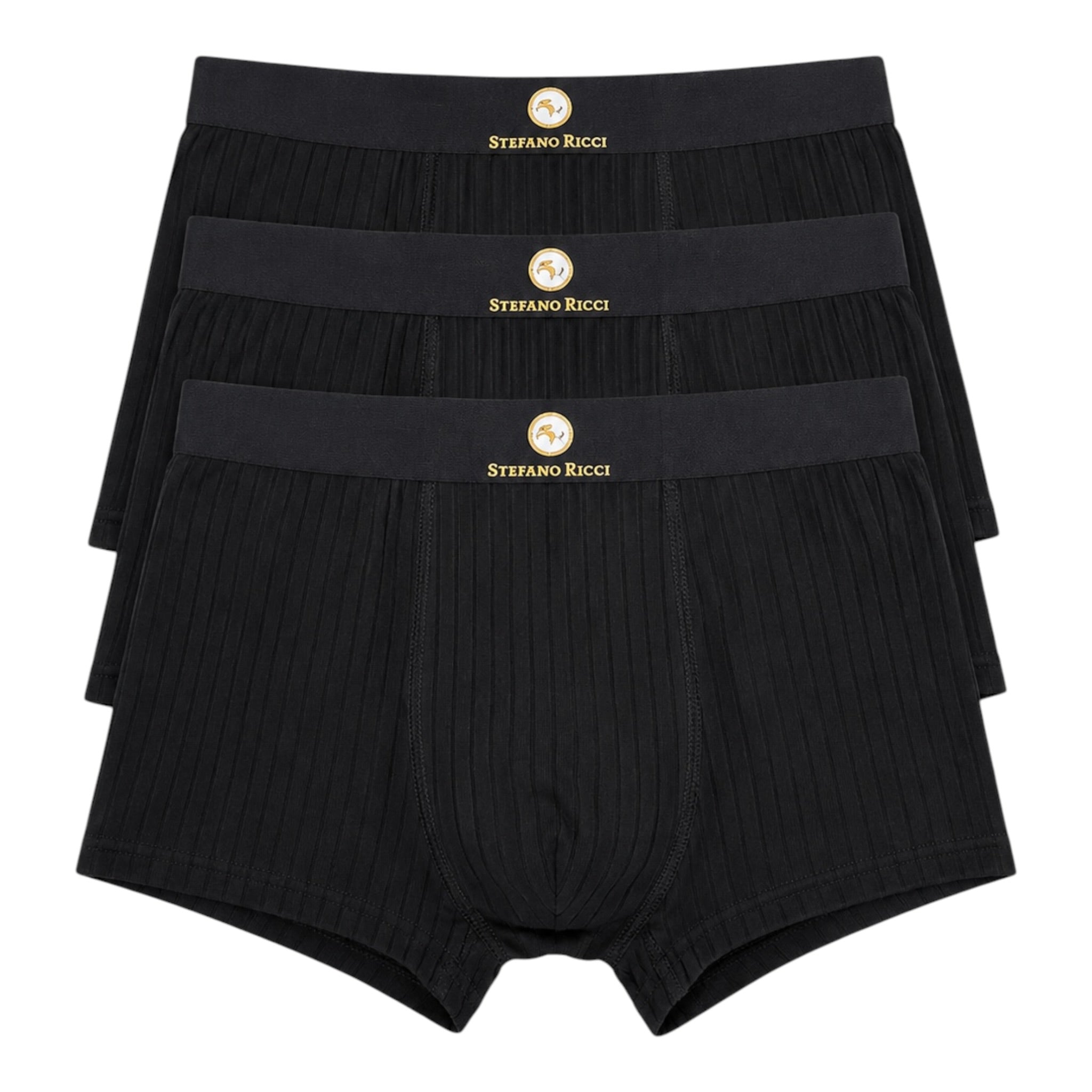 Stefani Ricci Underwear