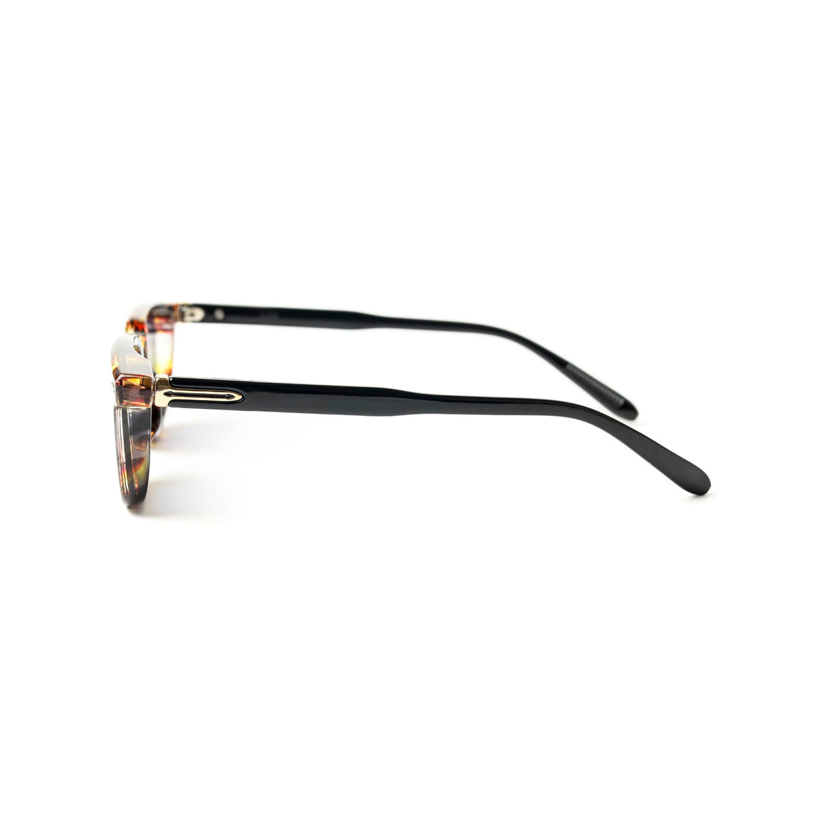 Moscot Sunglasses