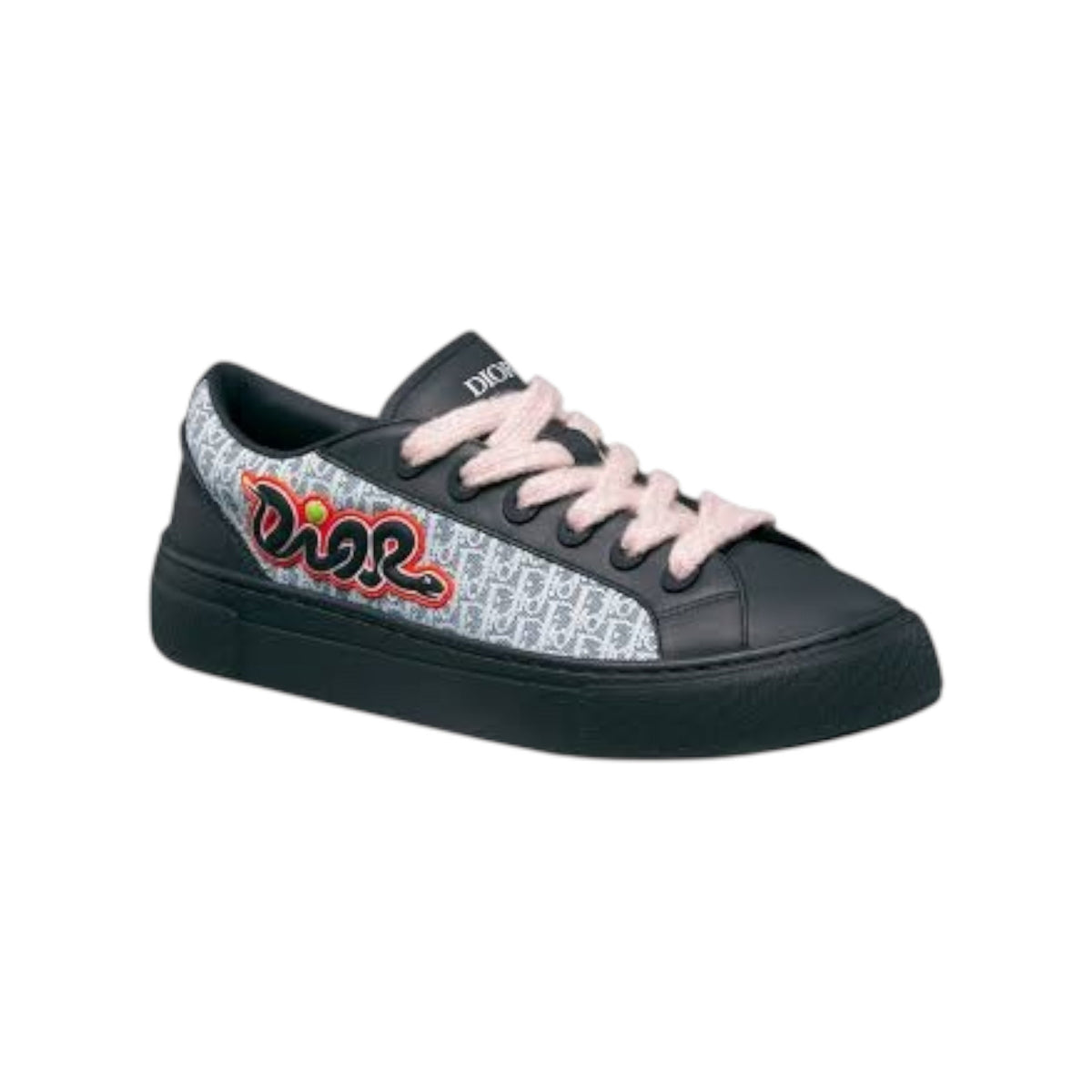 Dior And kaws B33 Spin Sneaker