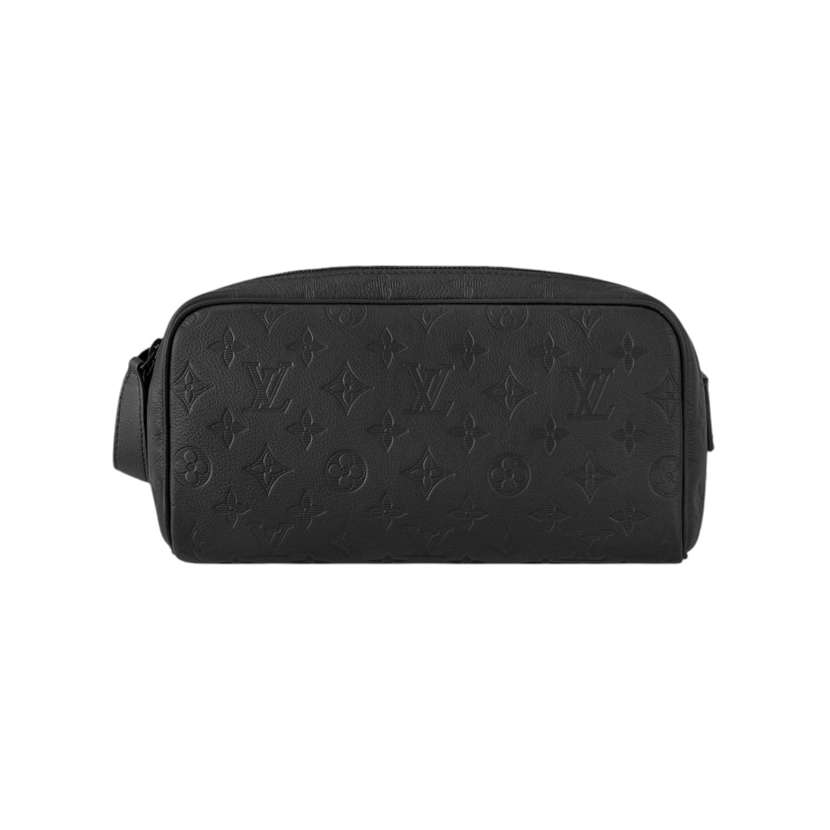 Louis Vuitton Hand Bag