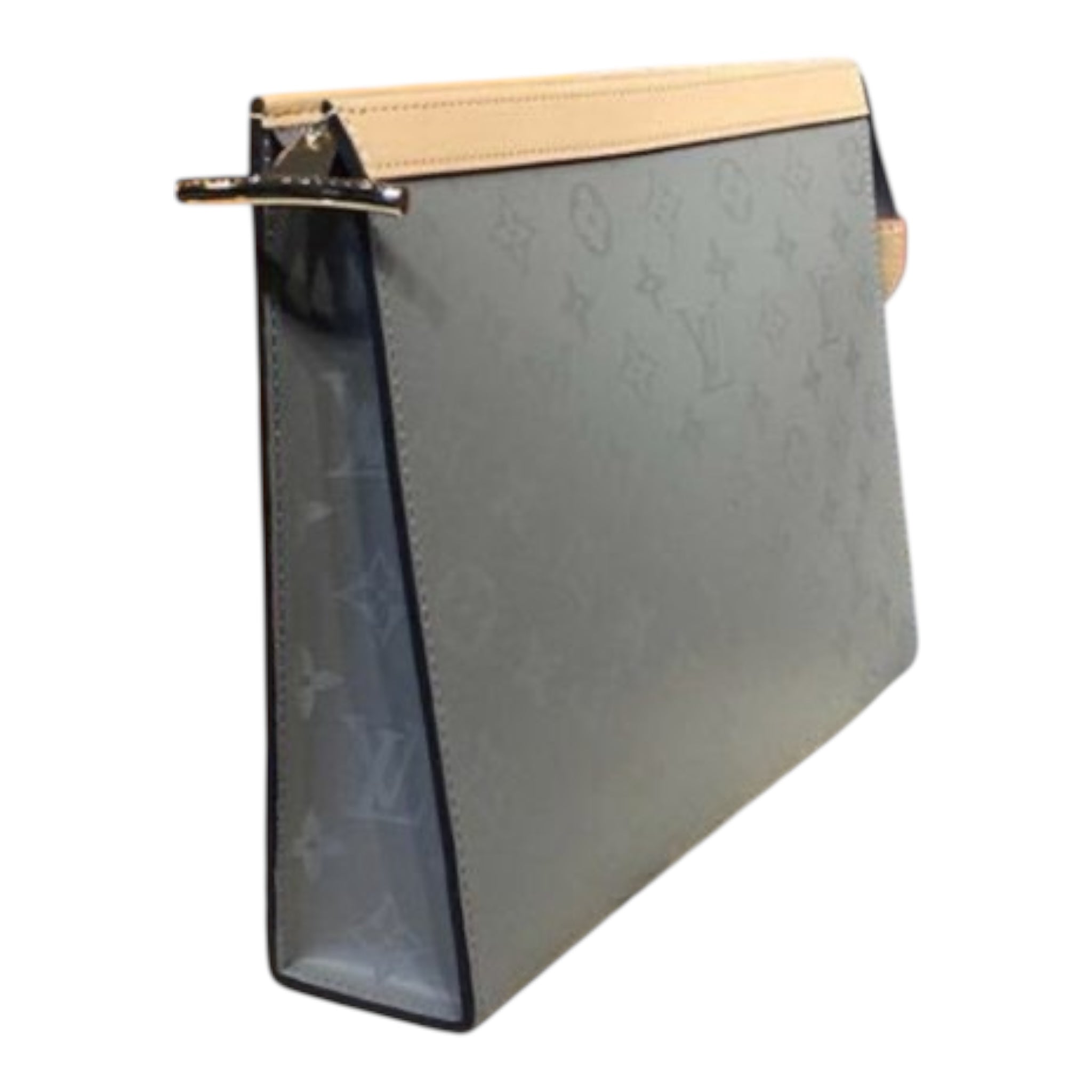 Louis Vuitton Hand Bag