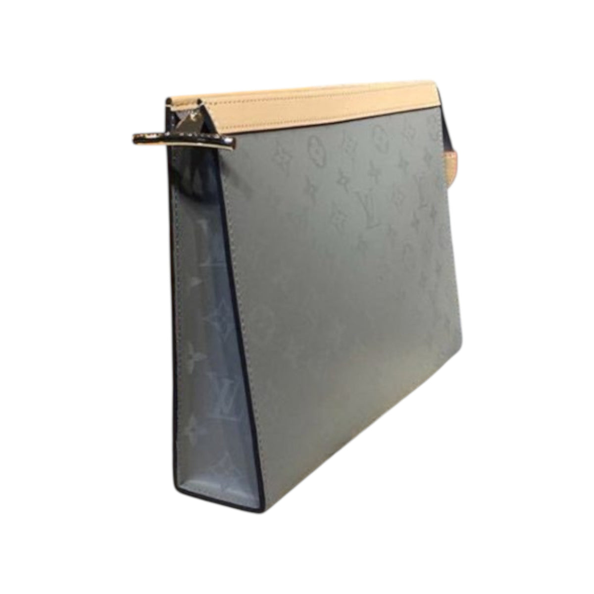 Louis Vuitton Hand Bag