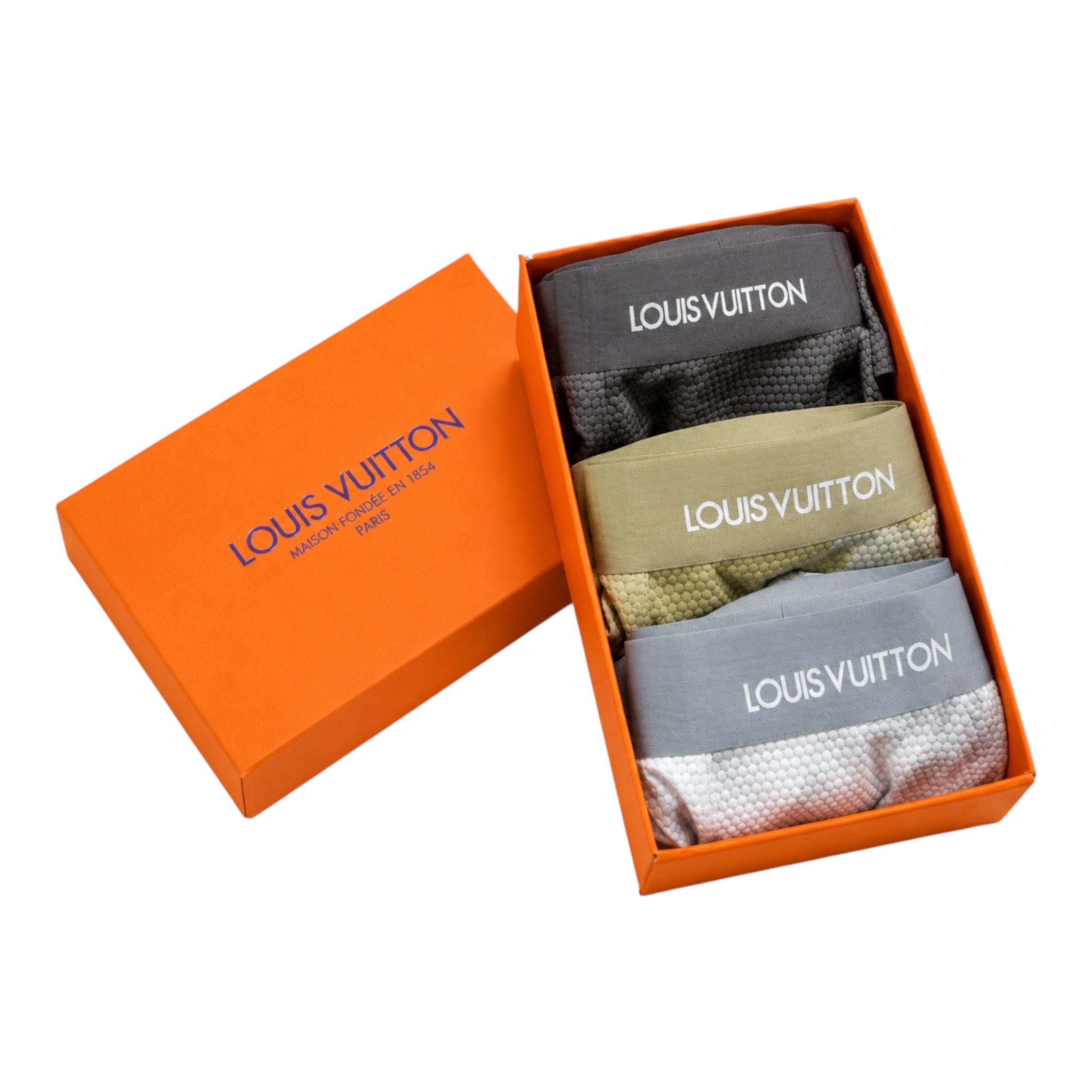 Louis vuitton Underwear
