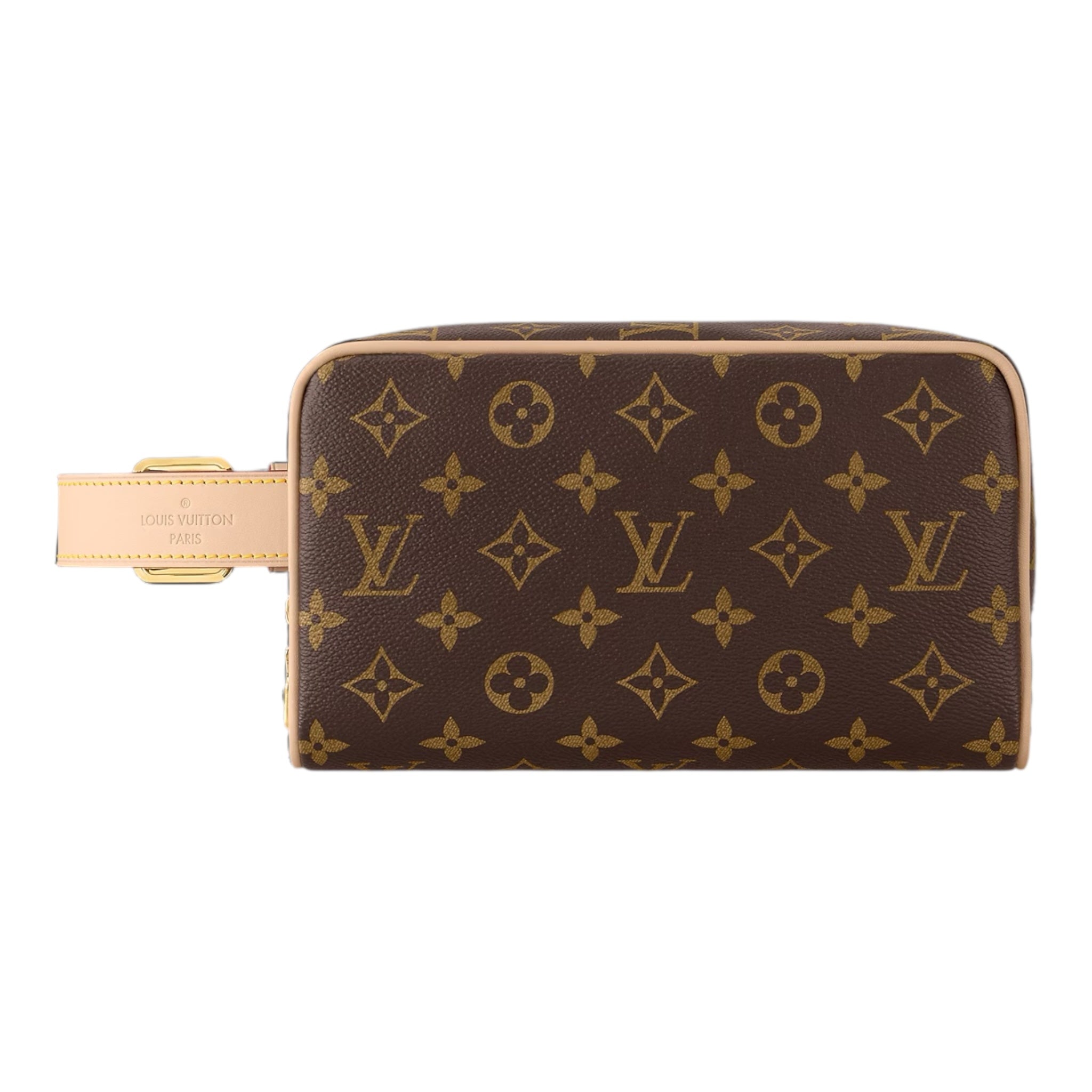 Louis Vuitton Hand Bag