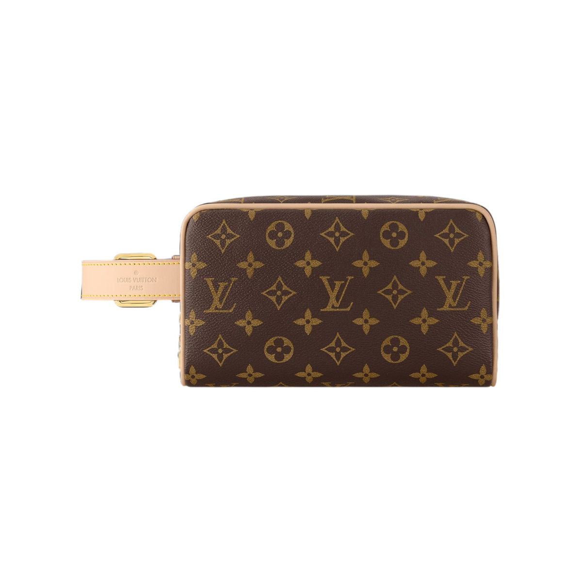 Louis Vuitton Hand Bag