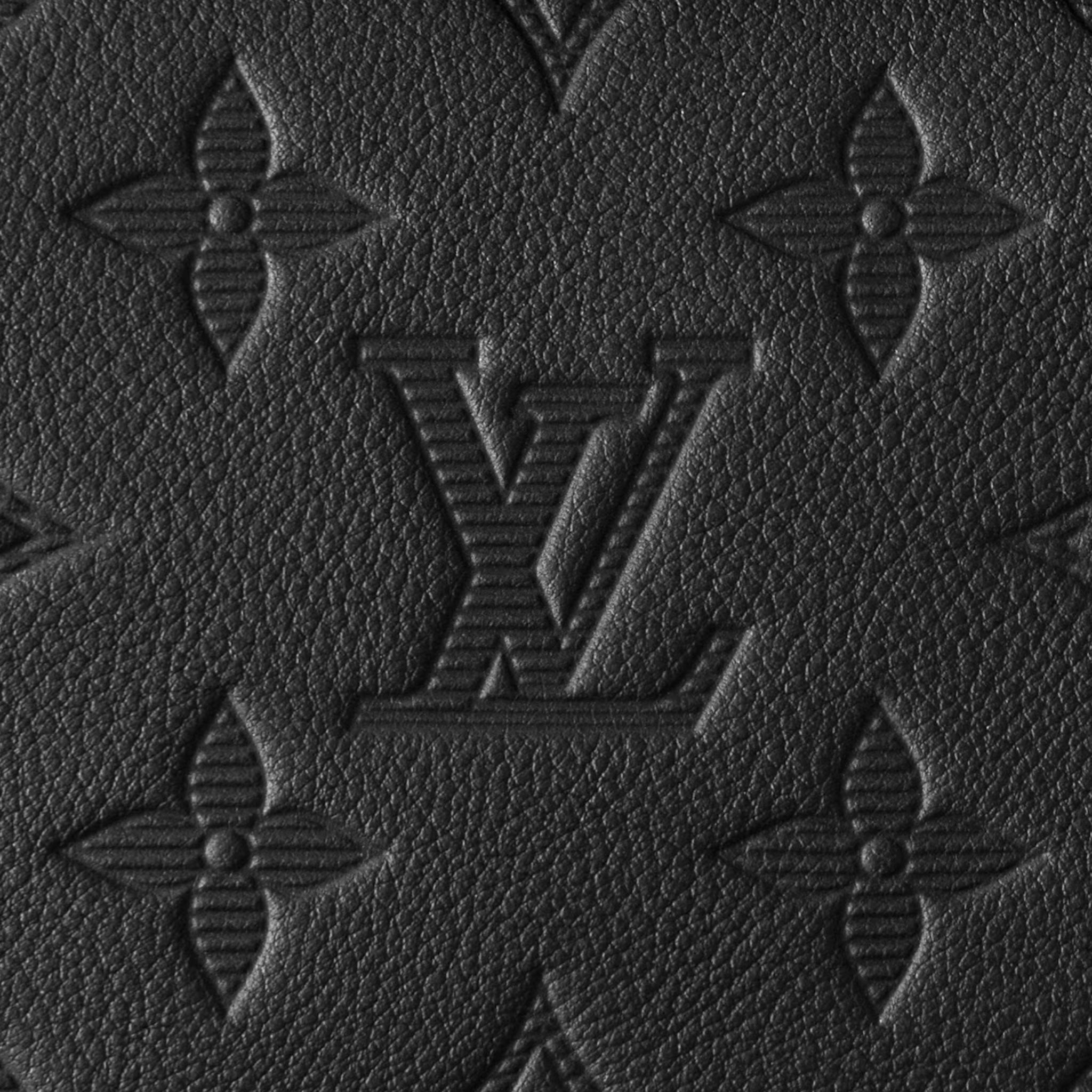 Louis Vuitton Hand Bag