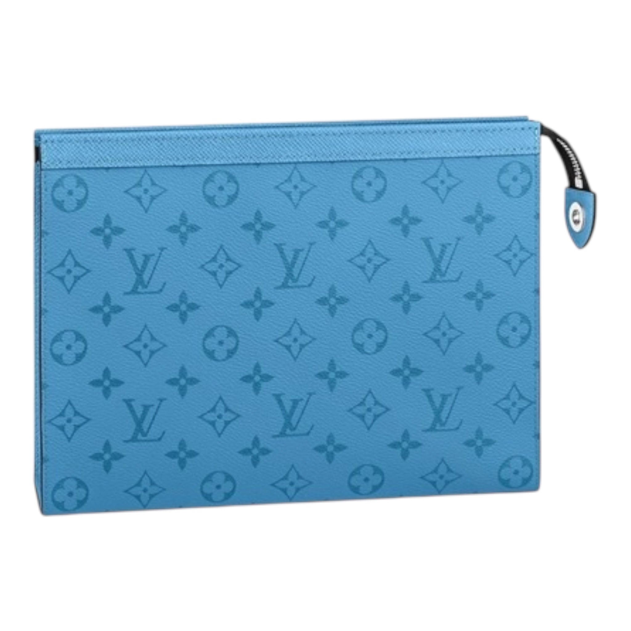 Louis Vuitton Hand Bag