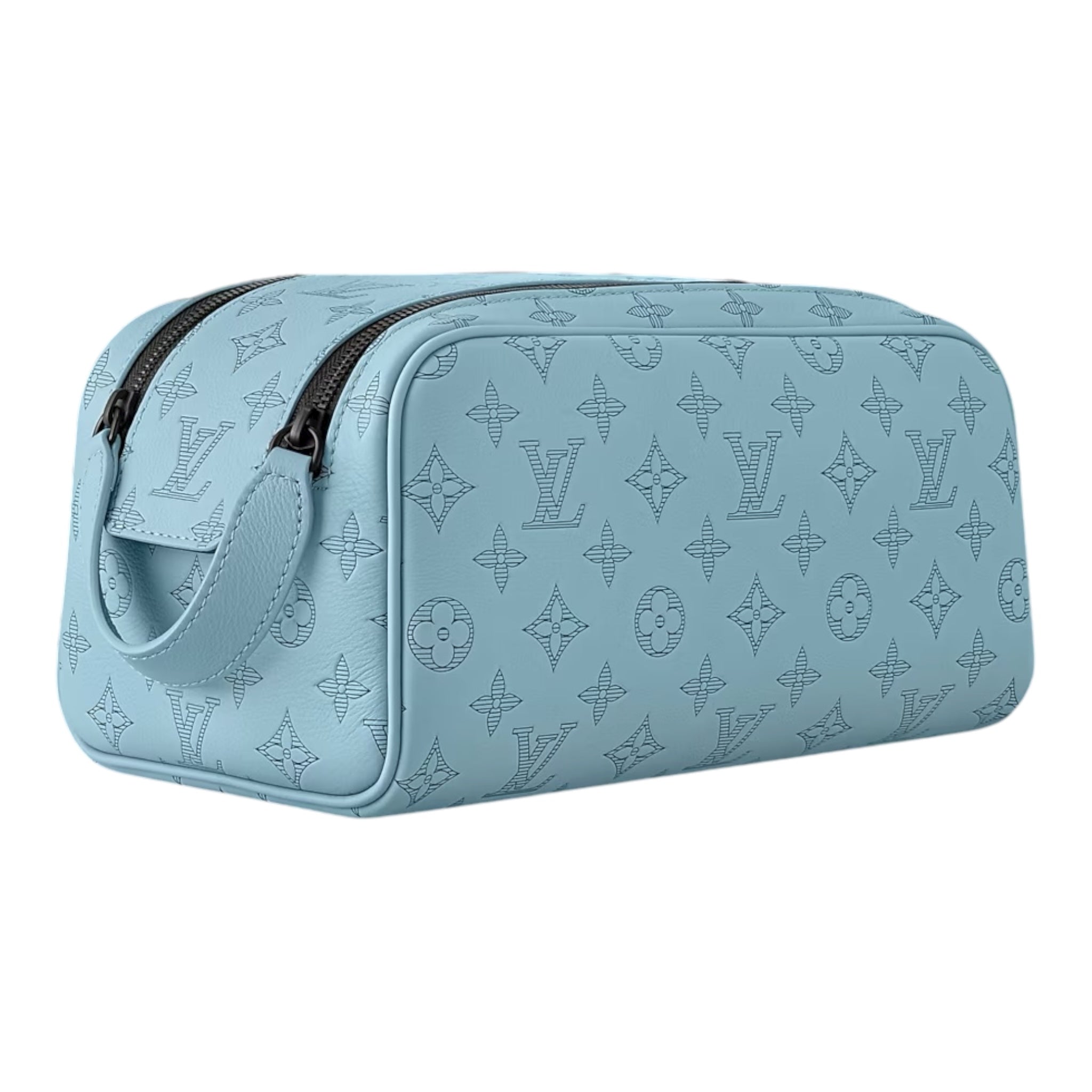 Louis Vuitton Hand Bag