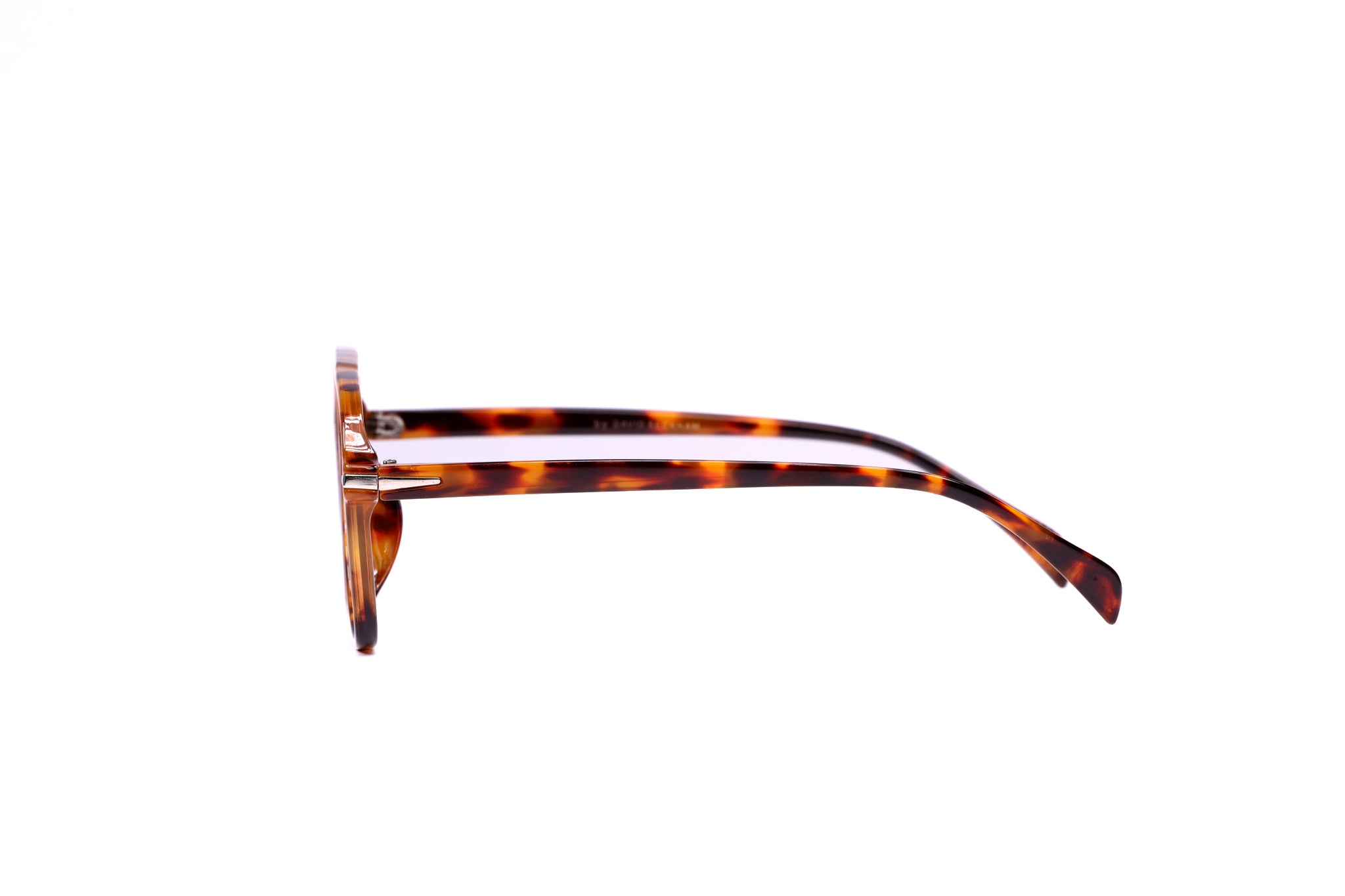 David Beckham Sunglasses