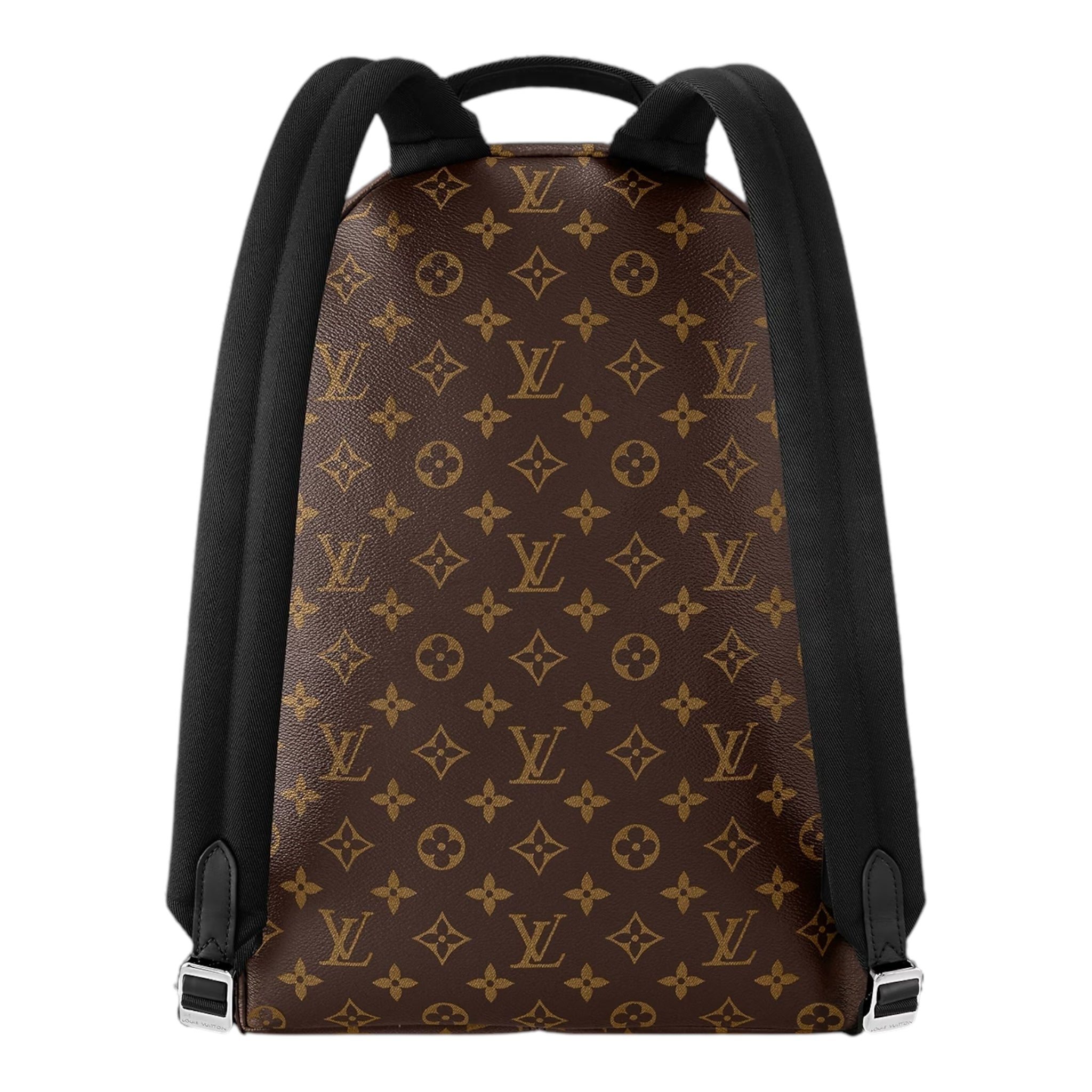 Louis Vuitton Backpack