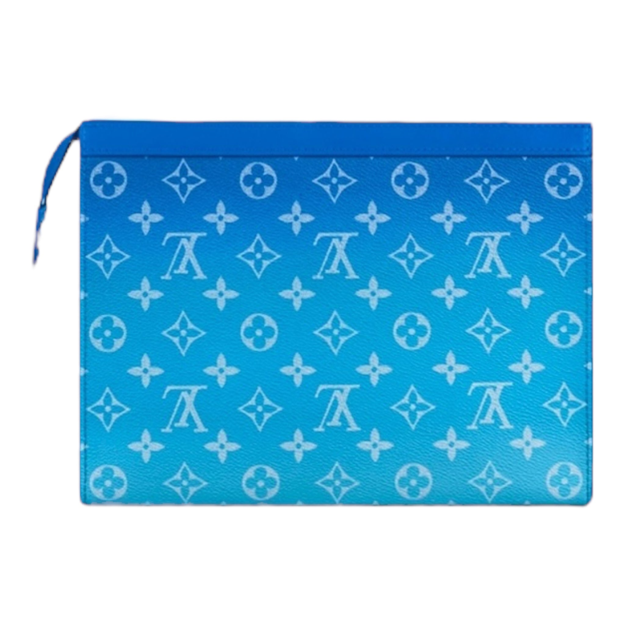 Louis Vuitton Hand Bag