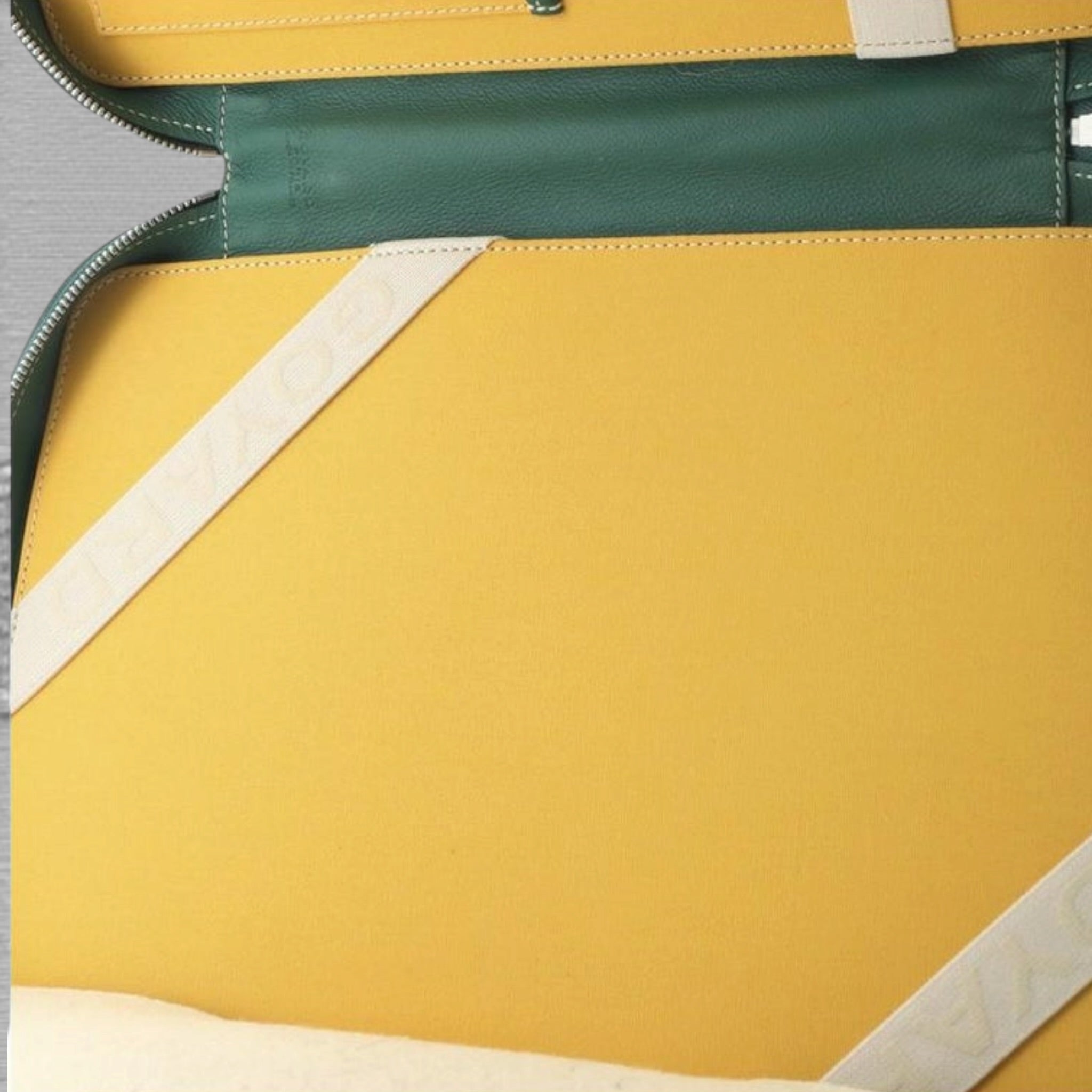 Goyard Goyardine Universal Companion
Portfolio Green