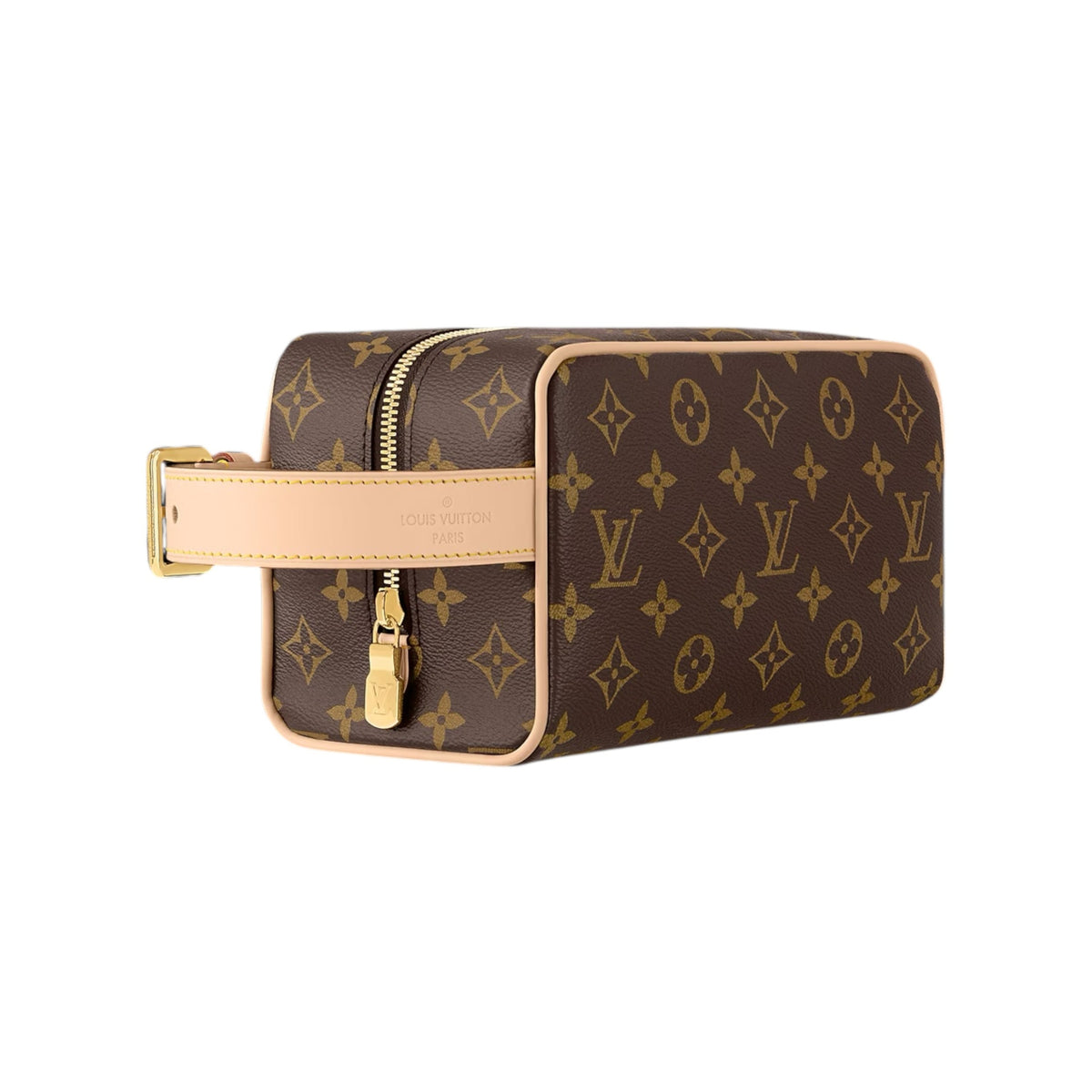 Louis Vuitton Hand Bag