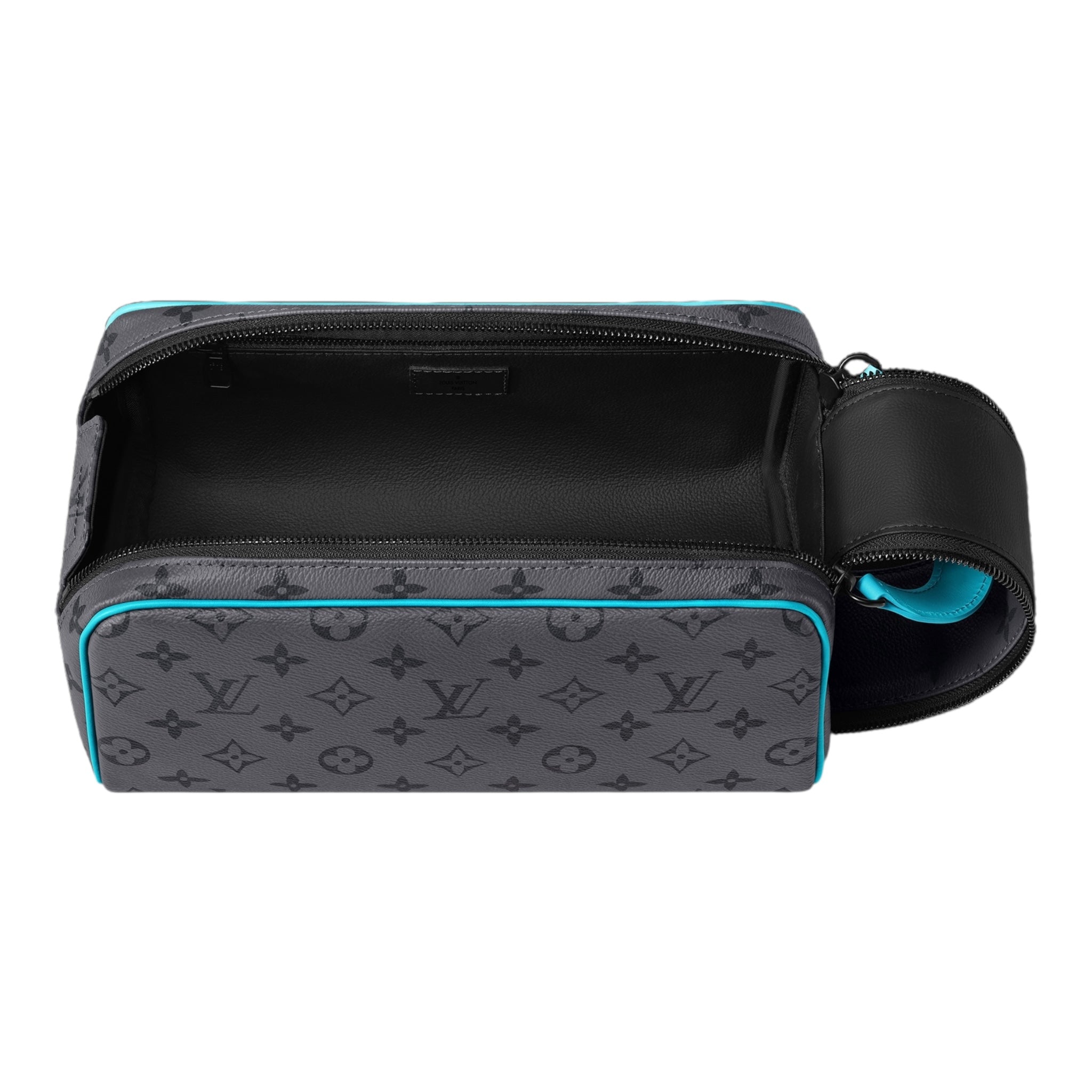 Louis Vuitton Hand Bag