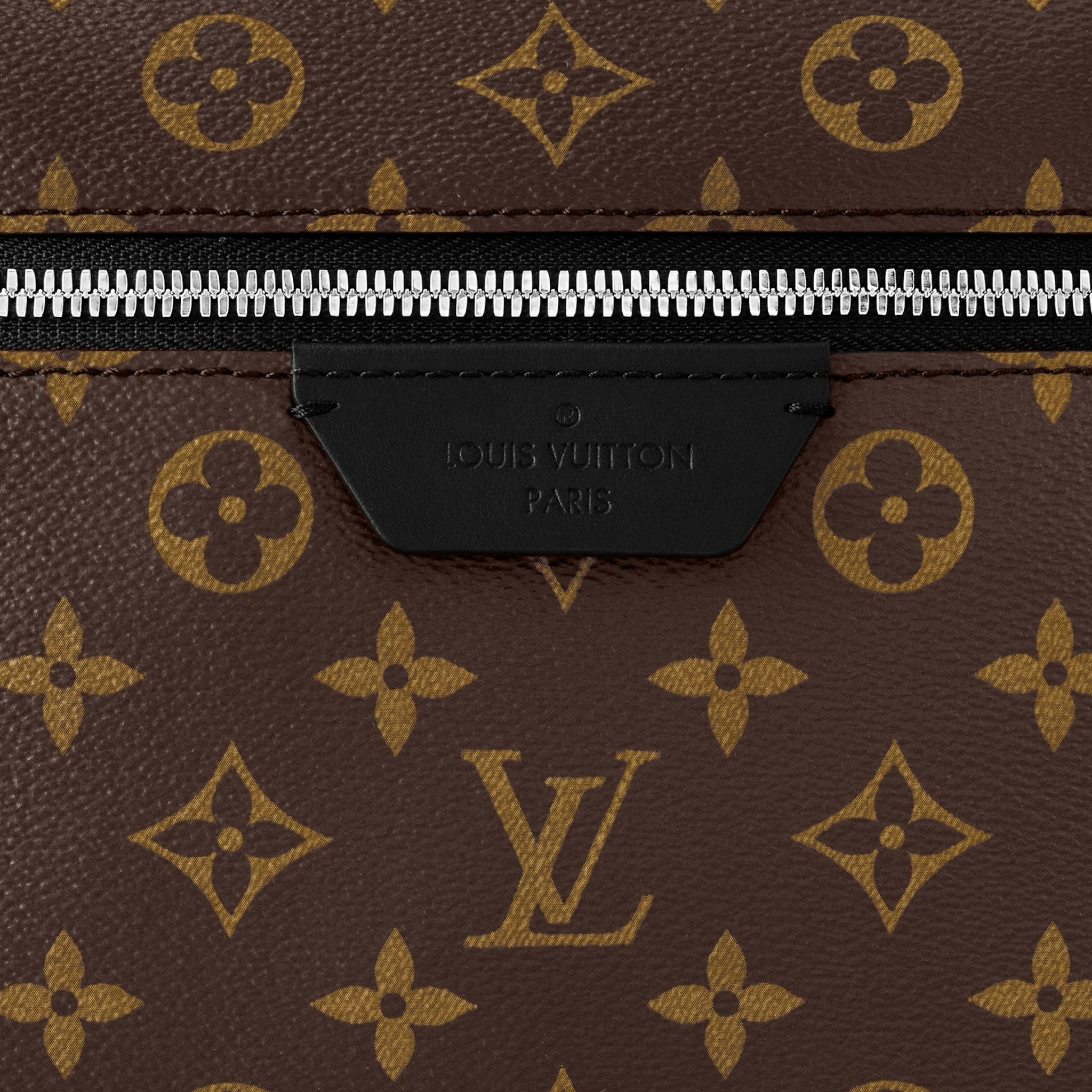 Louis Vuitton Backpack