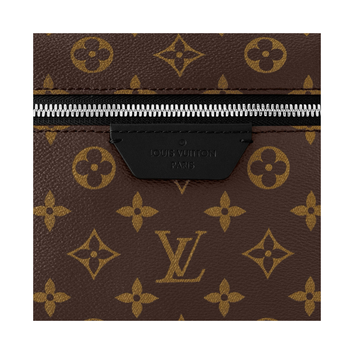Louis Vuitton Backpack