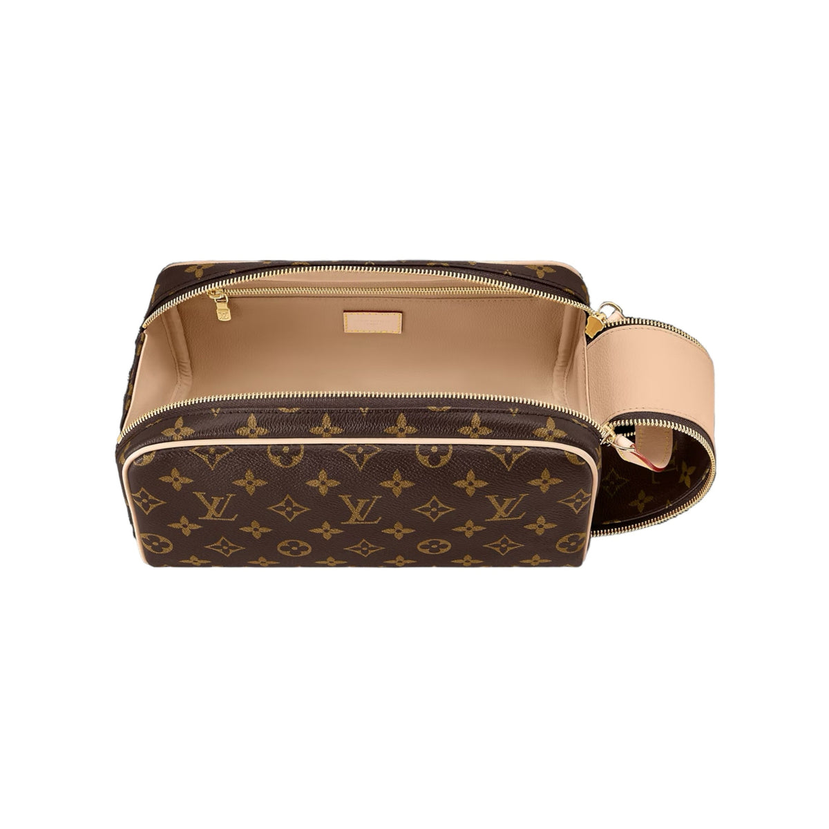 Louis Vuitton Hand Bag