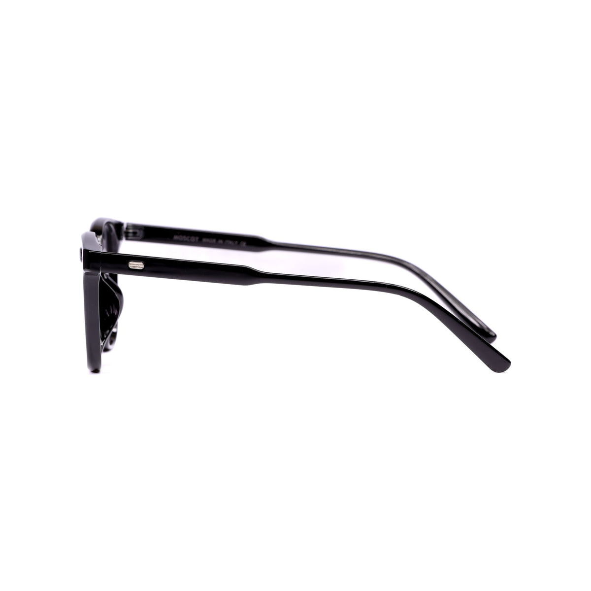 Moscot sunglasses