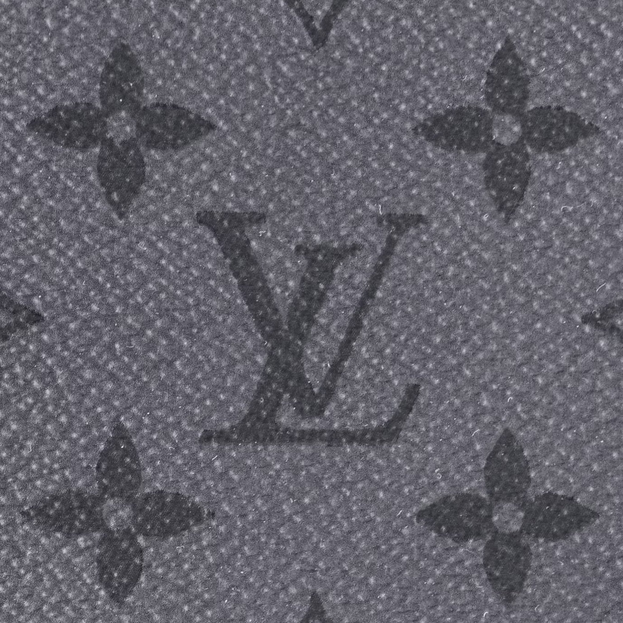 Louis Vuitton Hand Bag