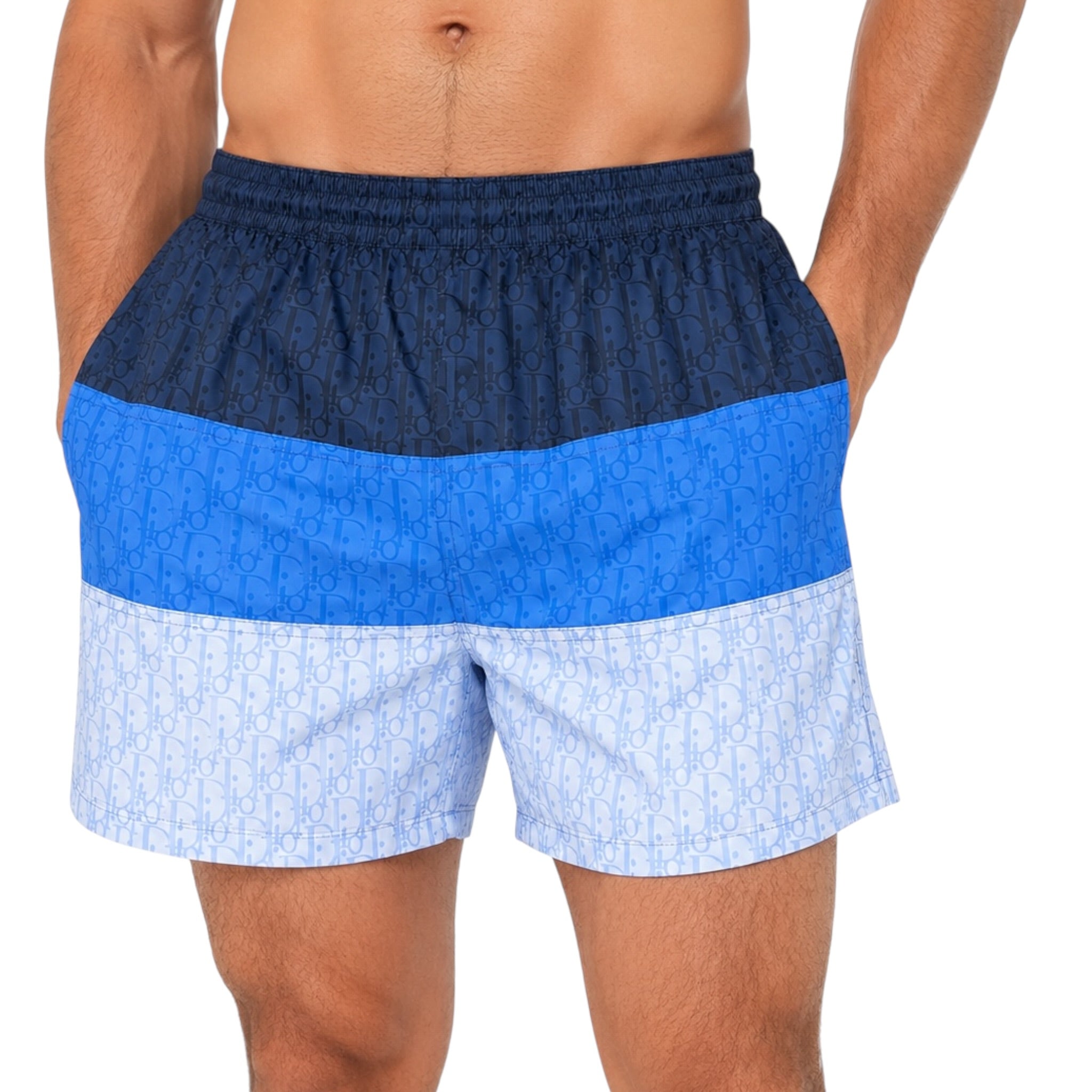 Dior swim shorts