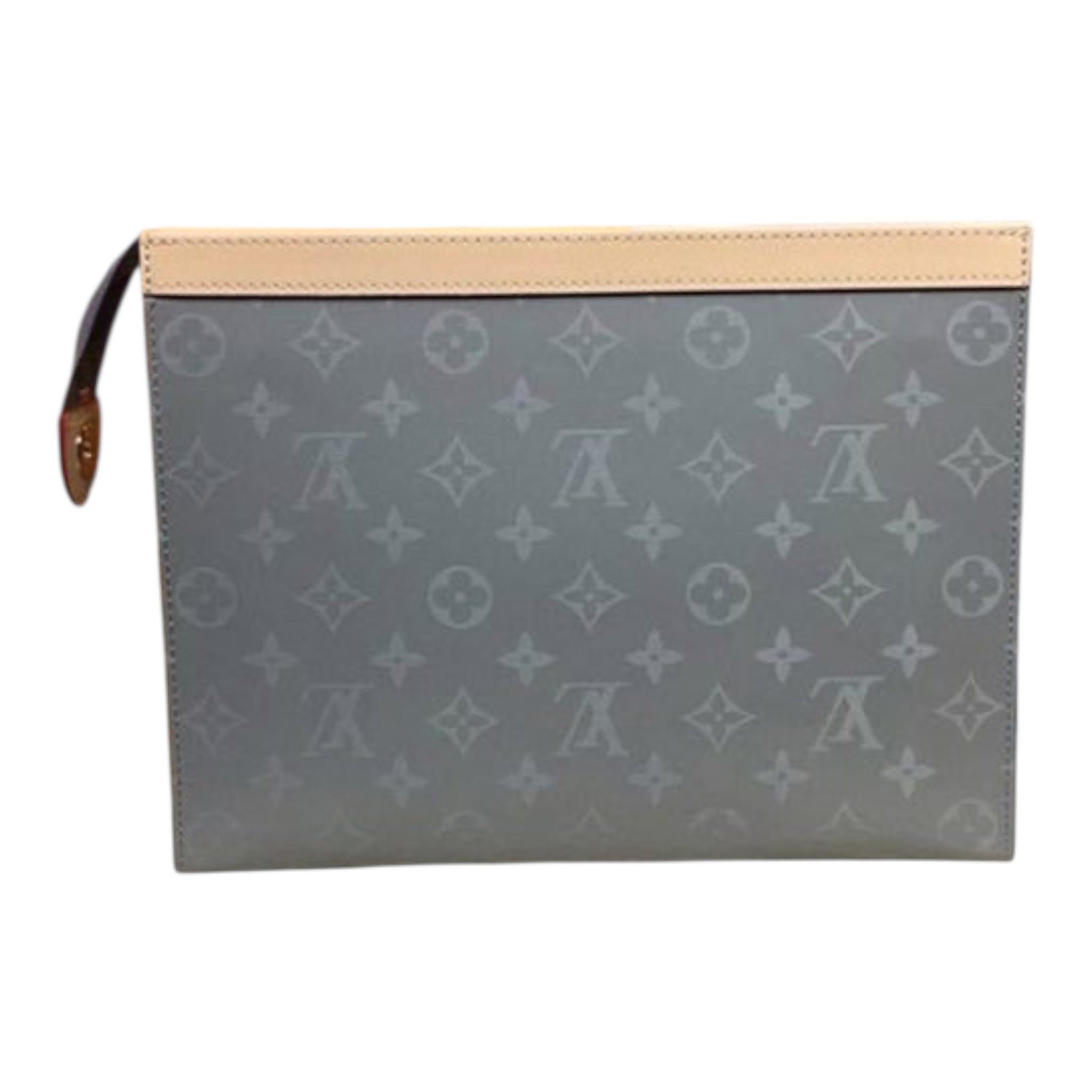 Louis Vuitton Hand Bag