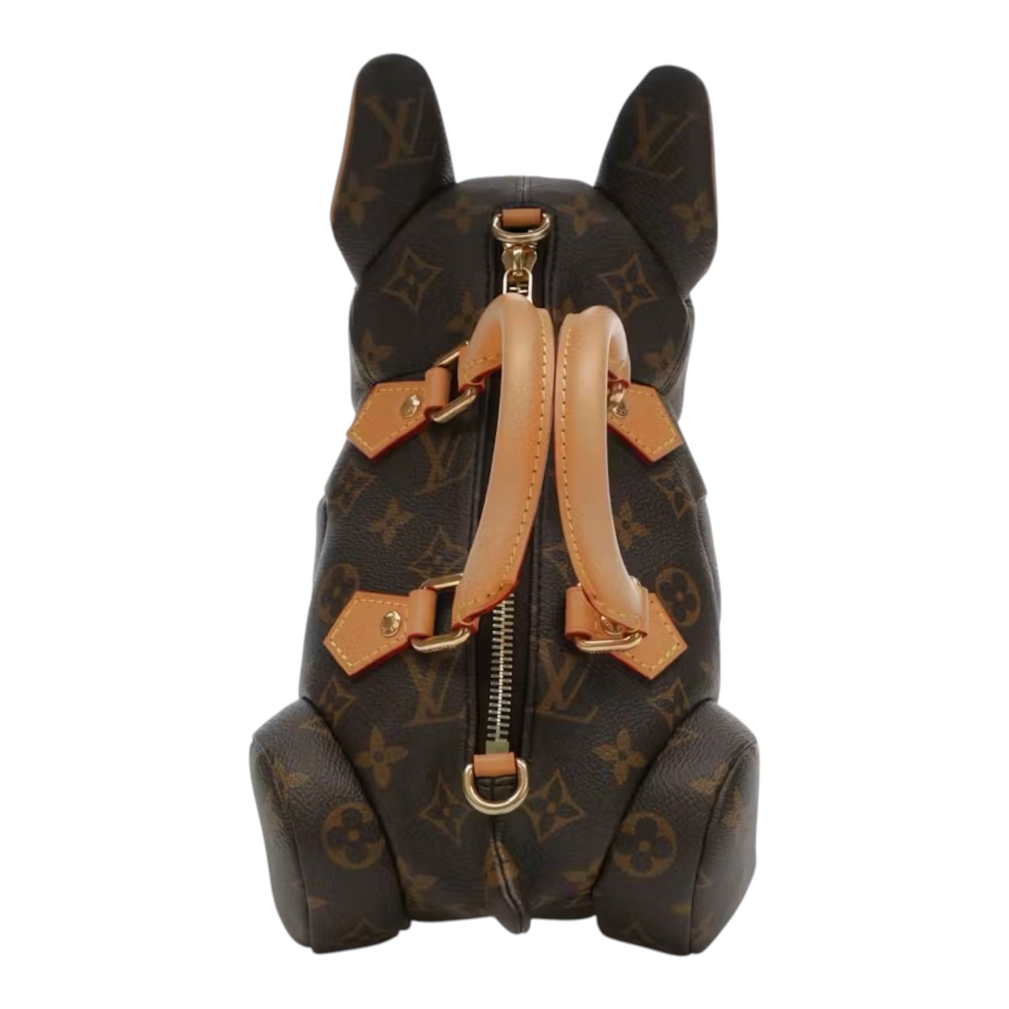 Louis Vuitton Pooch Bag