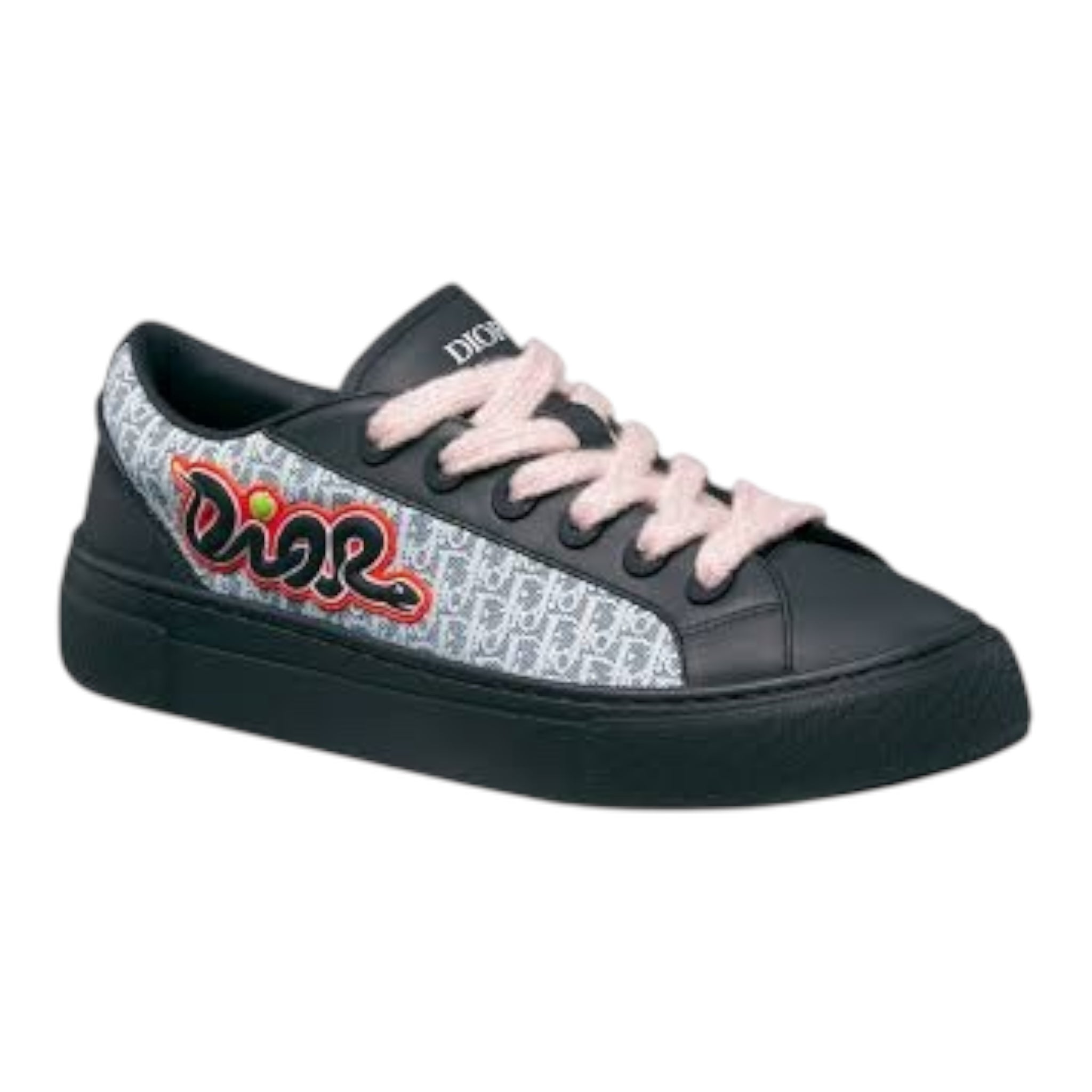 Dior And kaws B33 Spin Sneaker