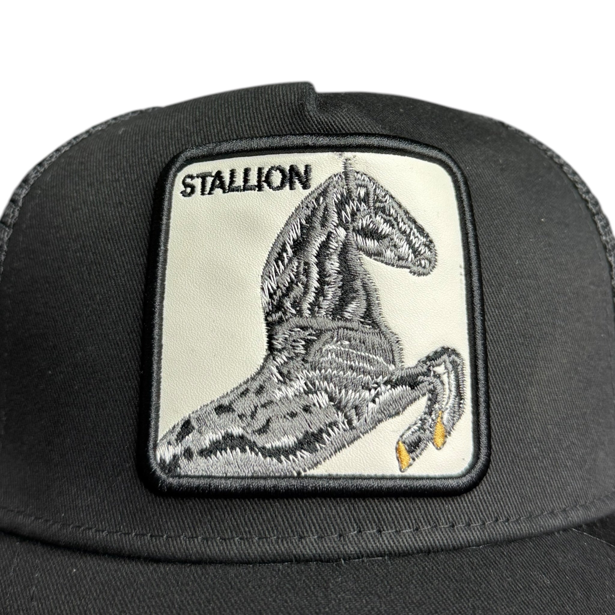 Stallion Cap