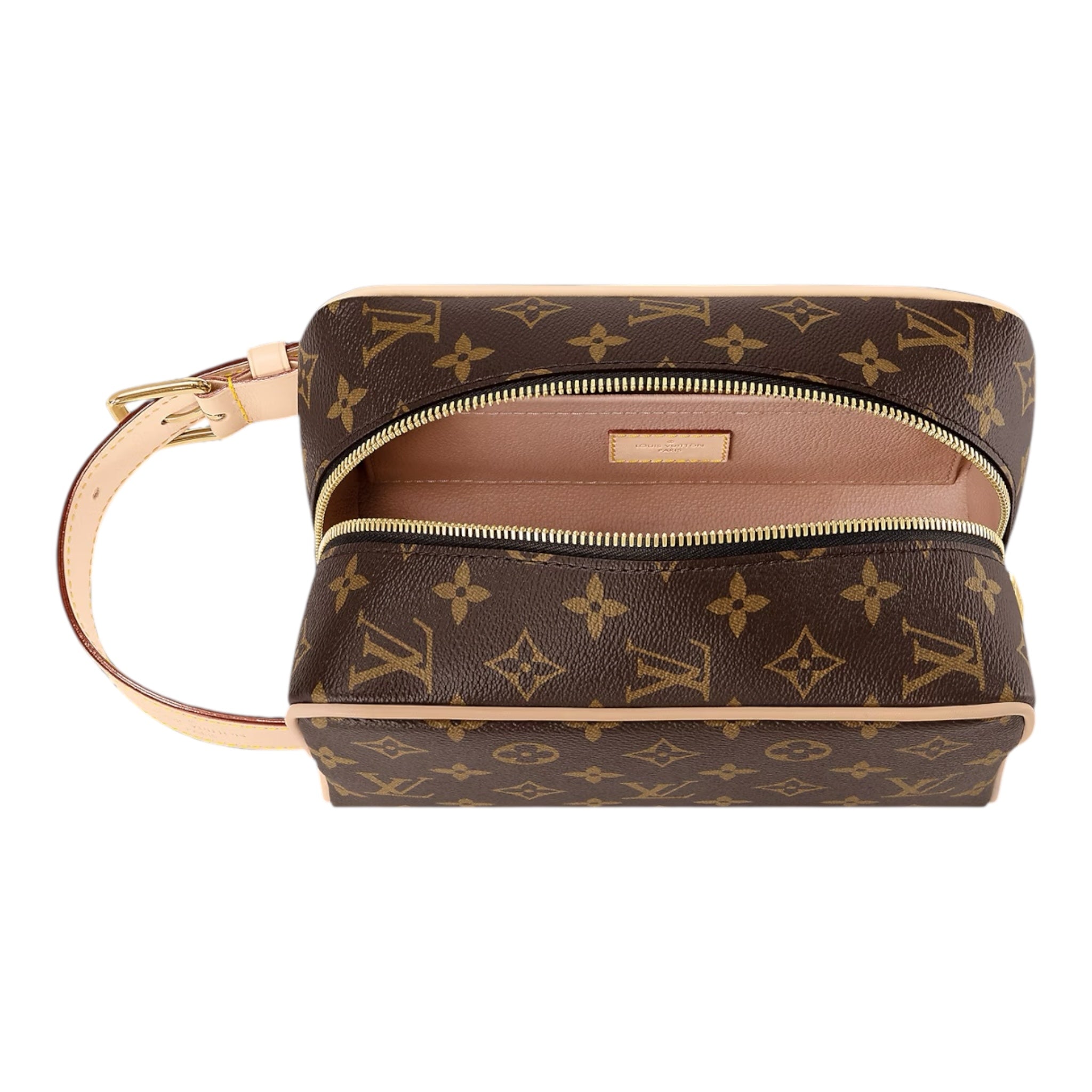 Louis Vuitton Hand Bag
