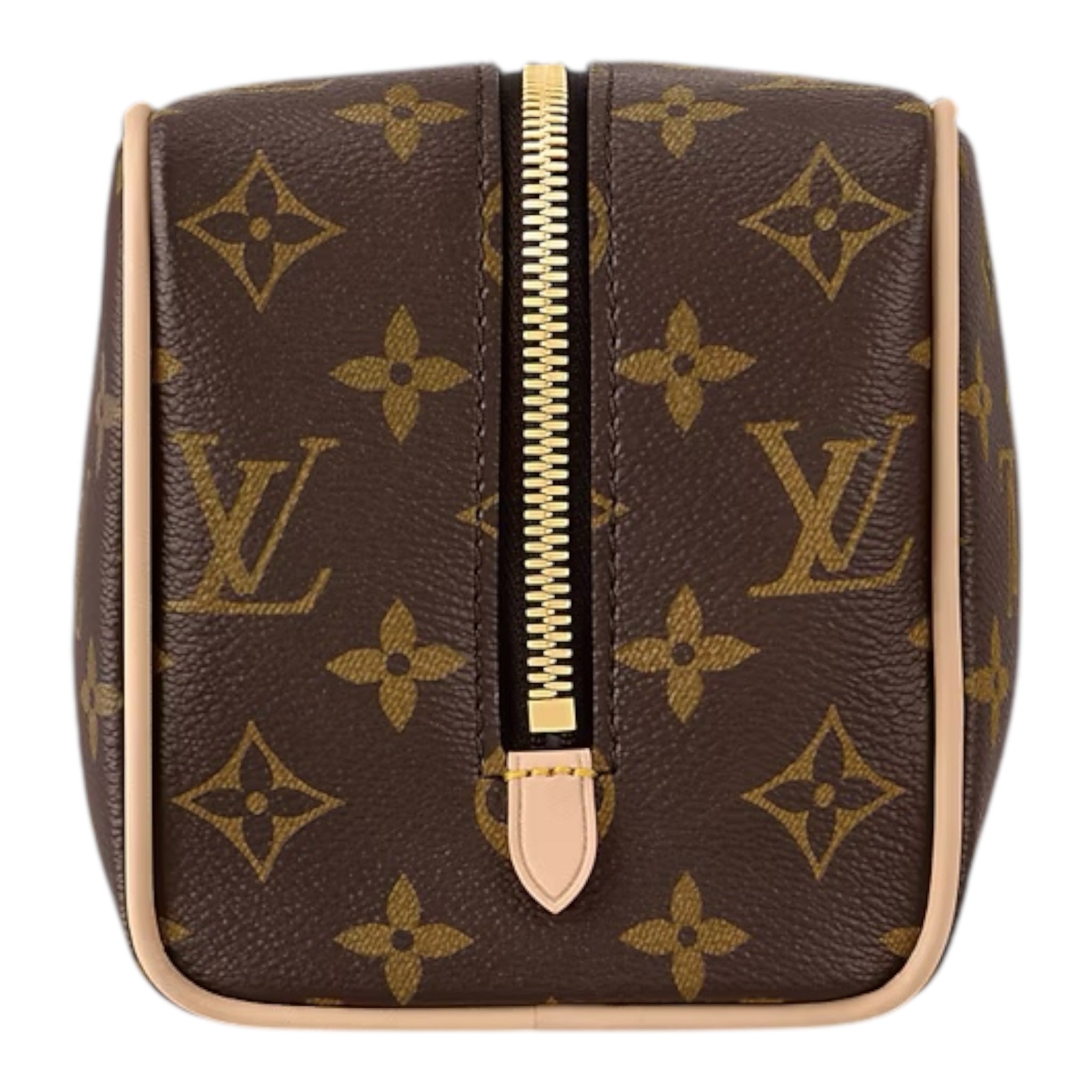 Louis Vuitton Hand Bag