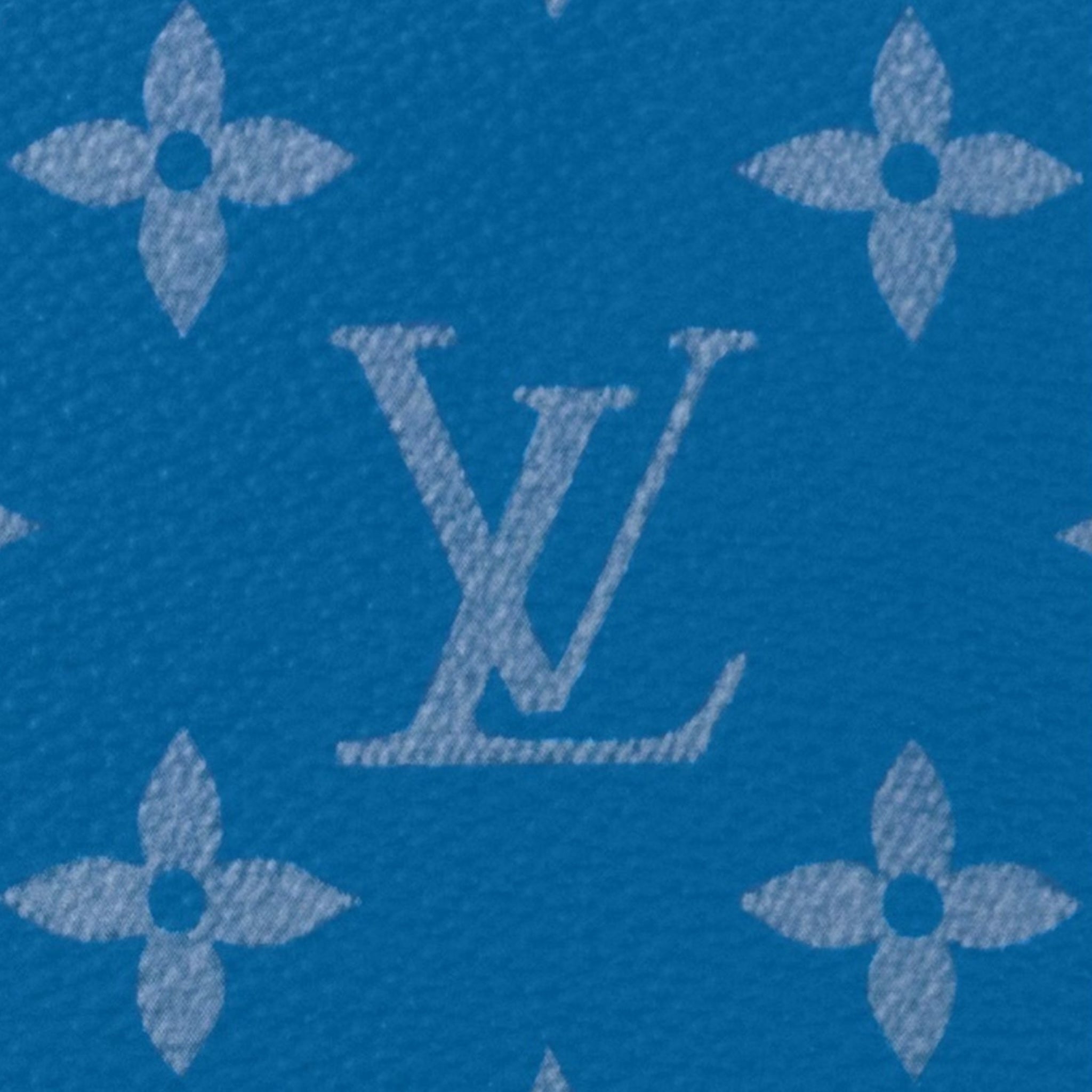 Louis Vuitton Hand Bag