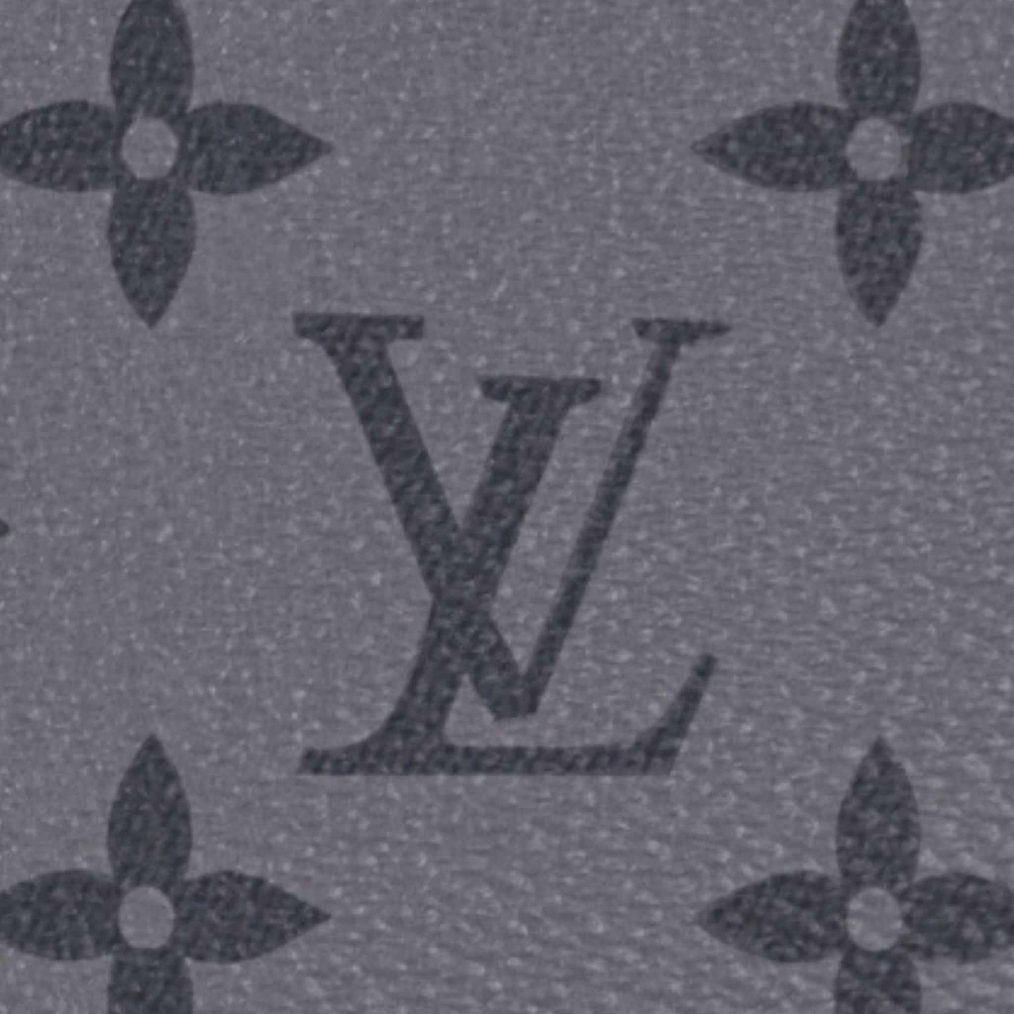 Louis Vuitton Hand Bag