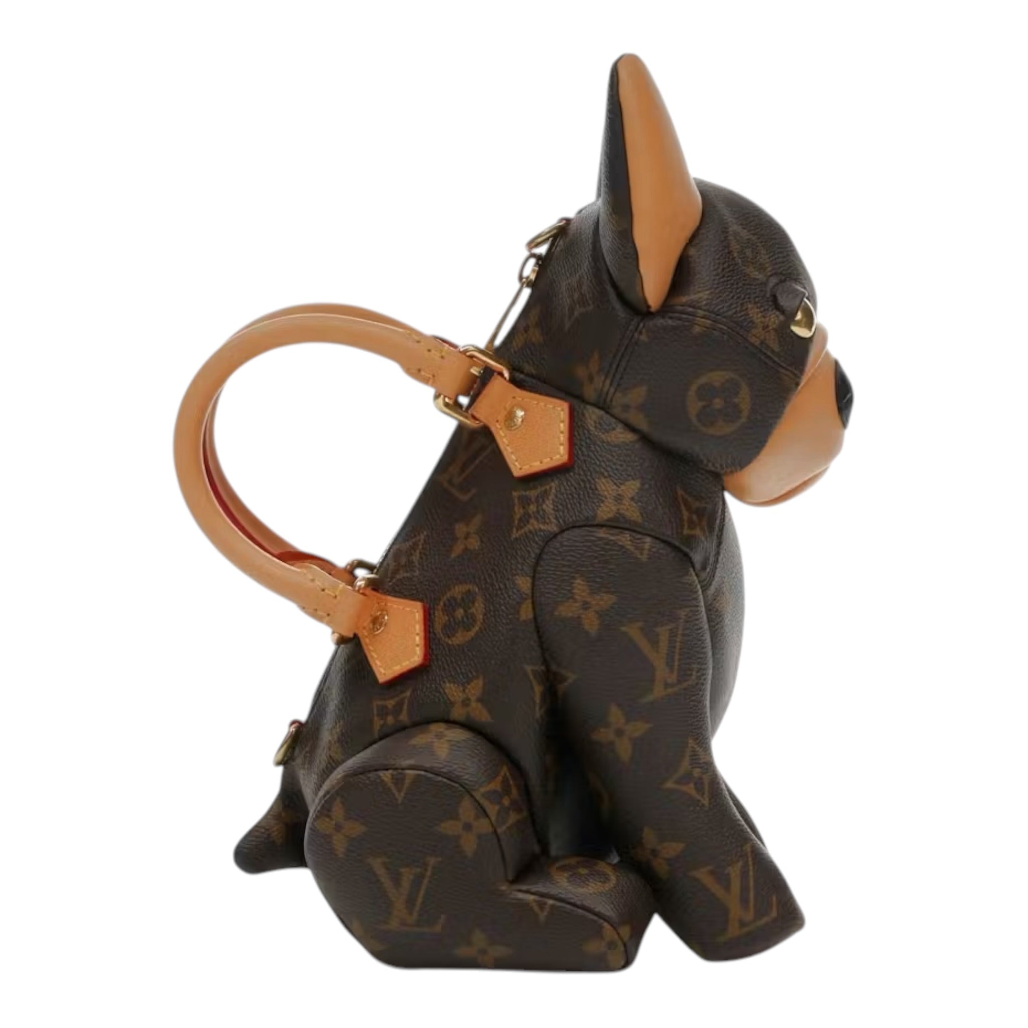 Louis Vuitton Pooch Bag
