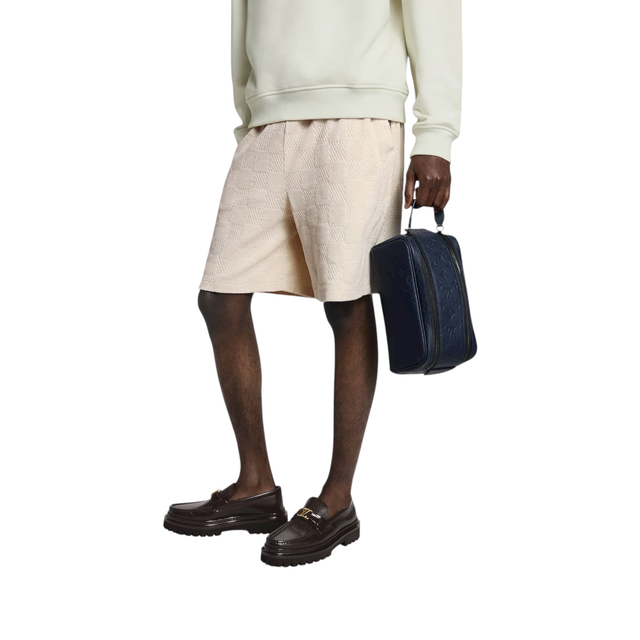 Louis Vuitton Hand Bag