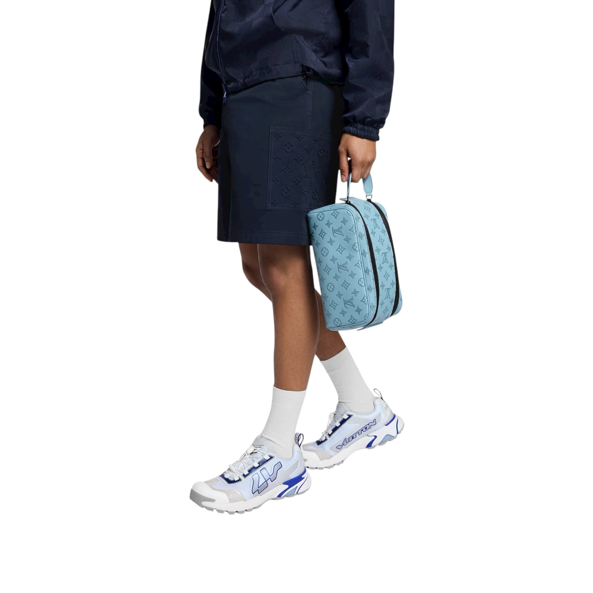 Louis Vuitton Hand Bag