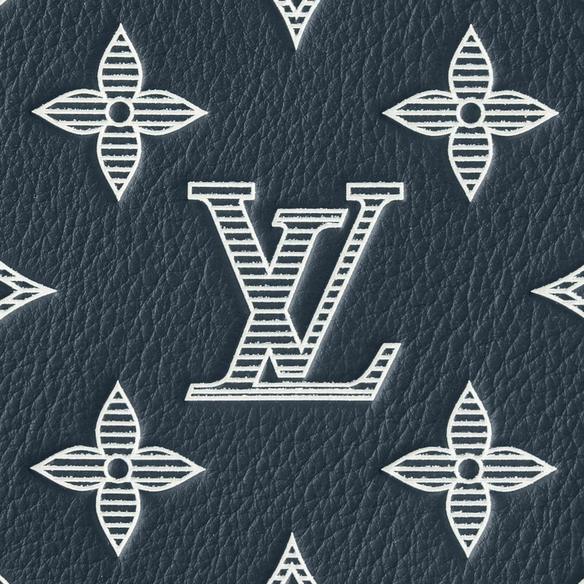 Louis Vuitton Hand Bag