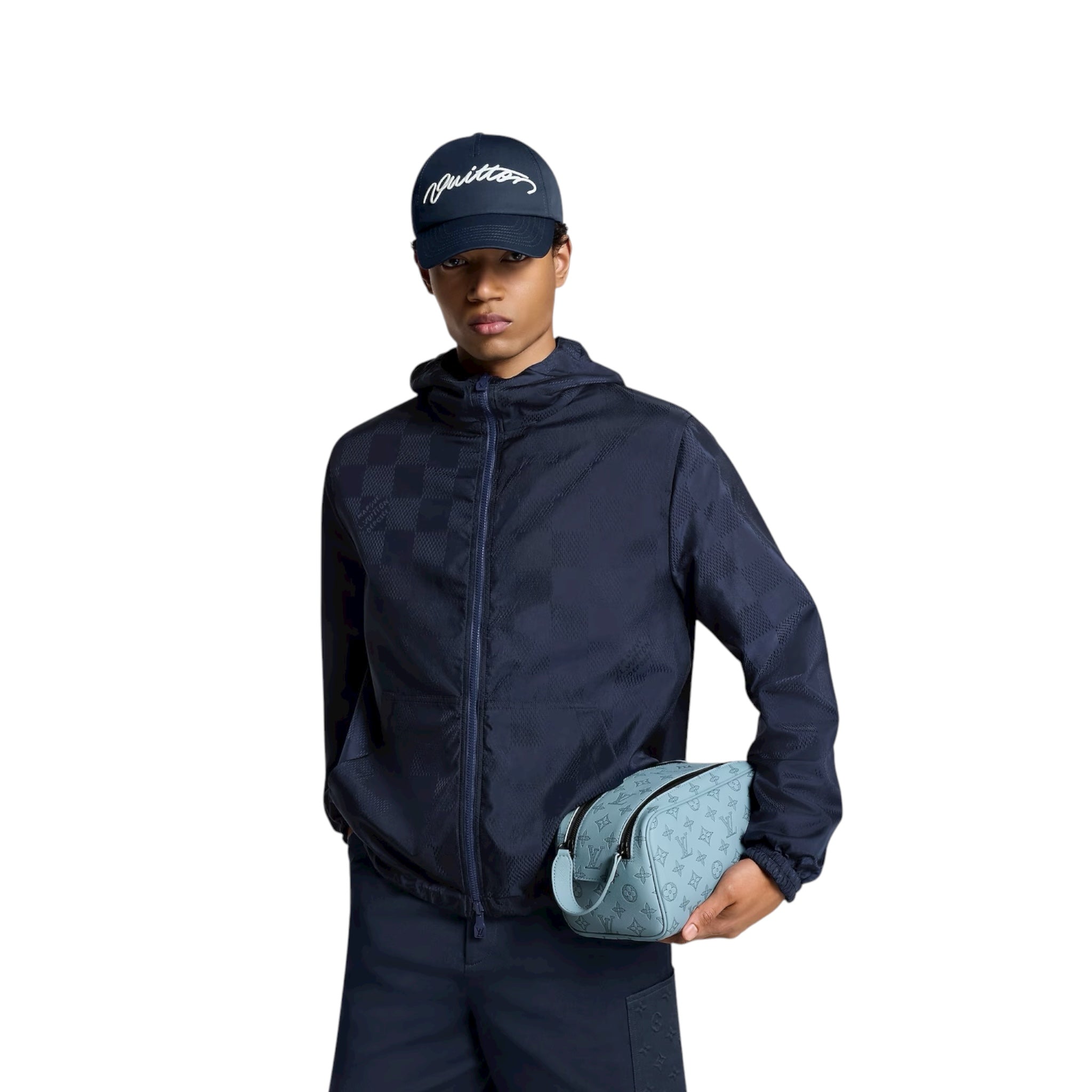 Louis Vuitton Hand Bag