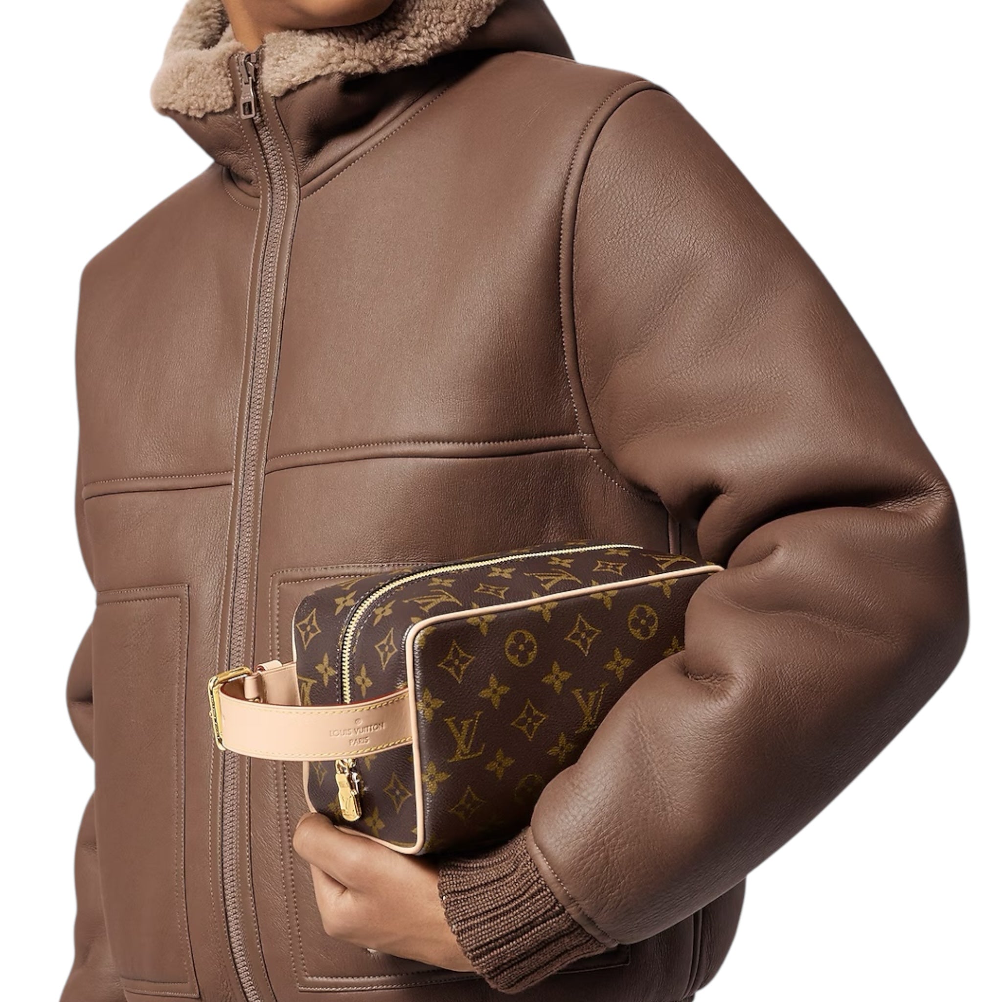 Louis Vuitton Hand Bag