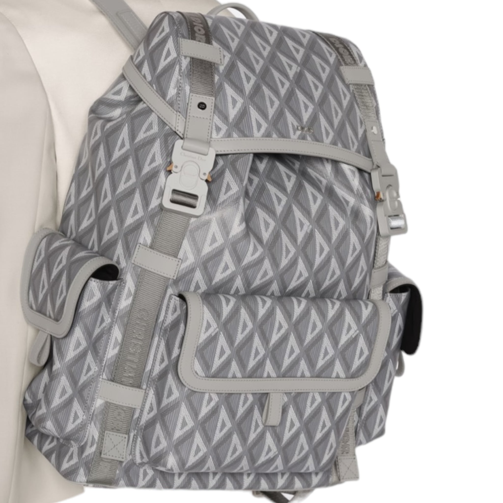 Dior Backpack L