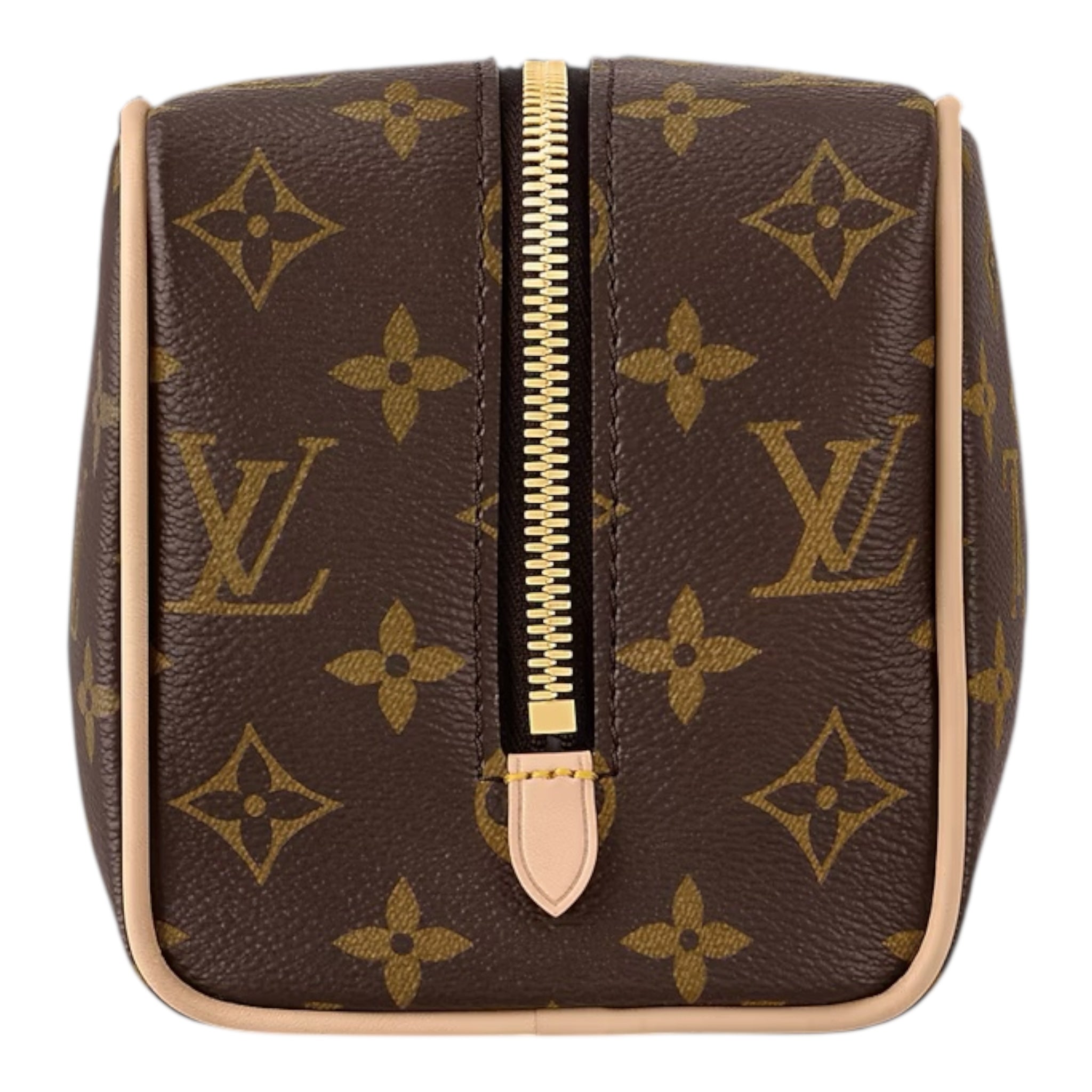 Louis Vuitton Hand Bag