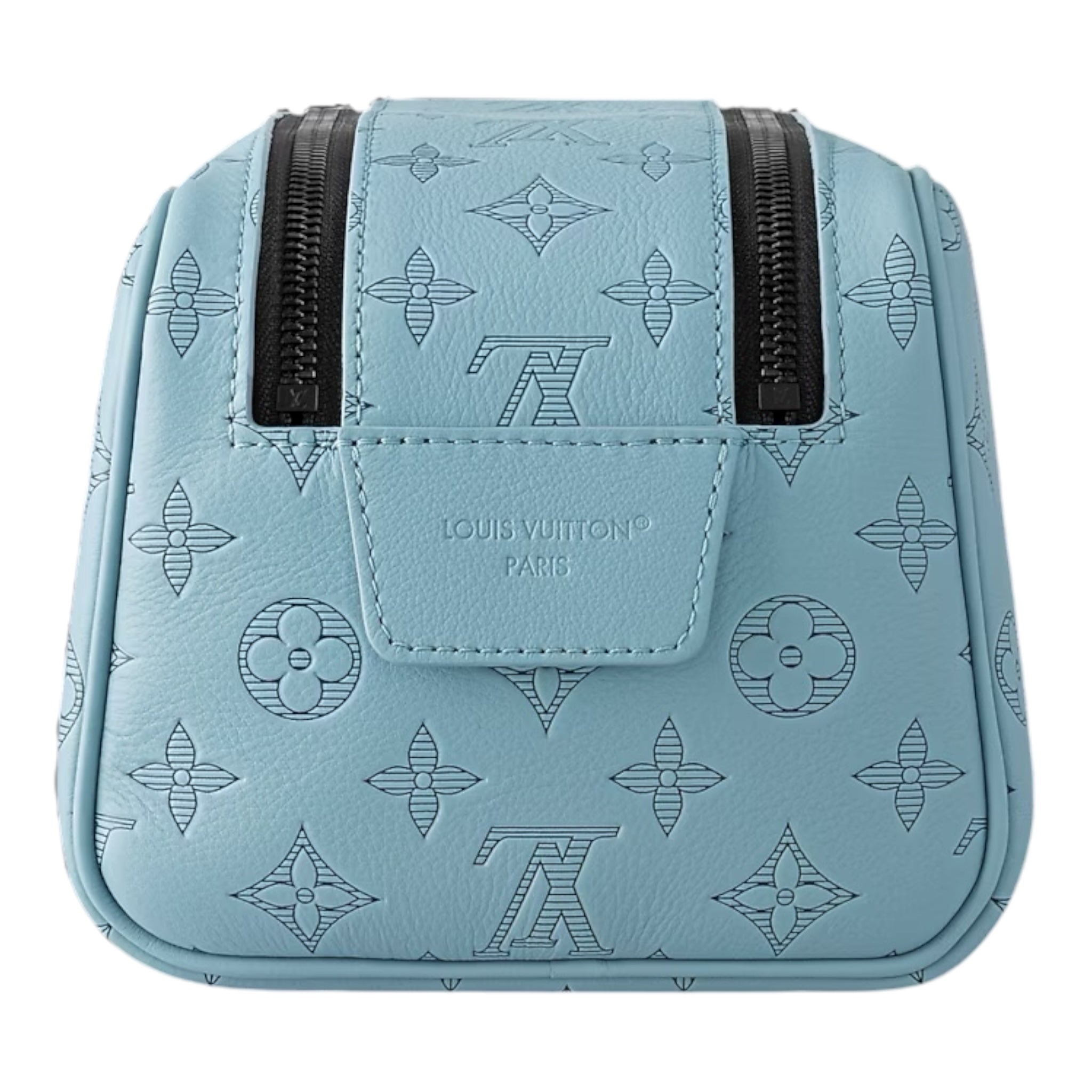 Louis Vuitton Hand Bag