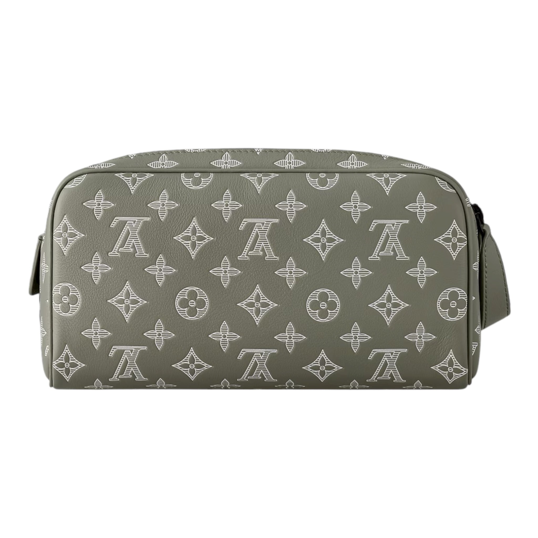 Louis Vuitton Hand Bag