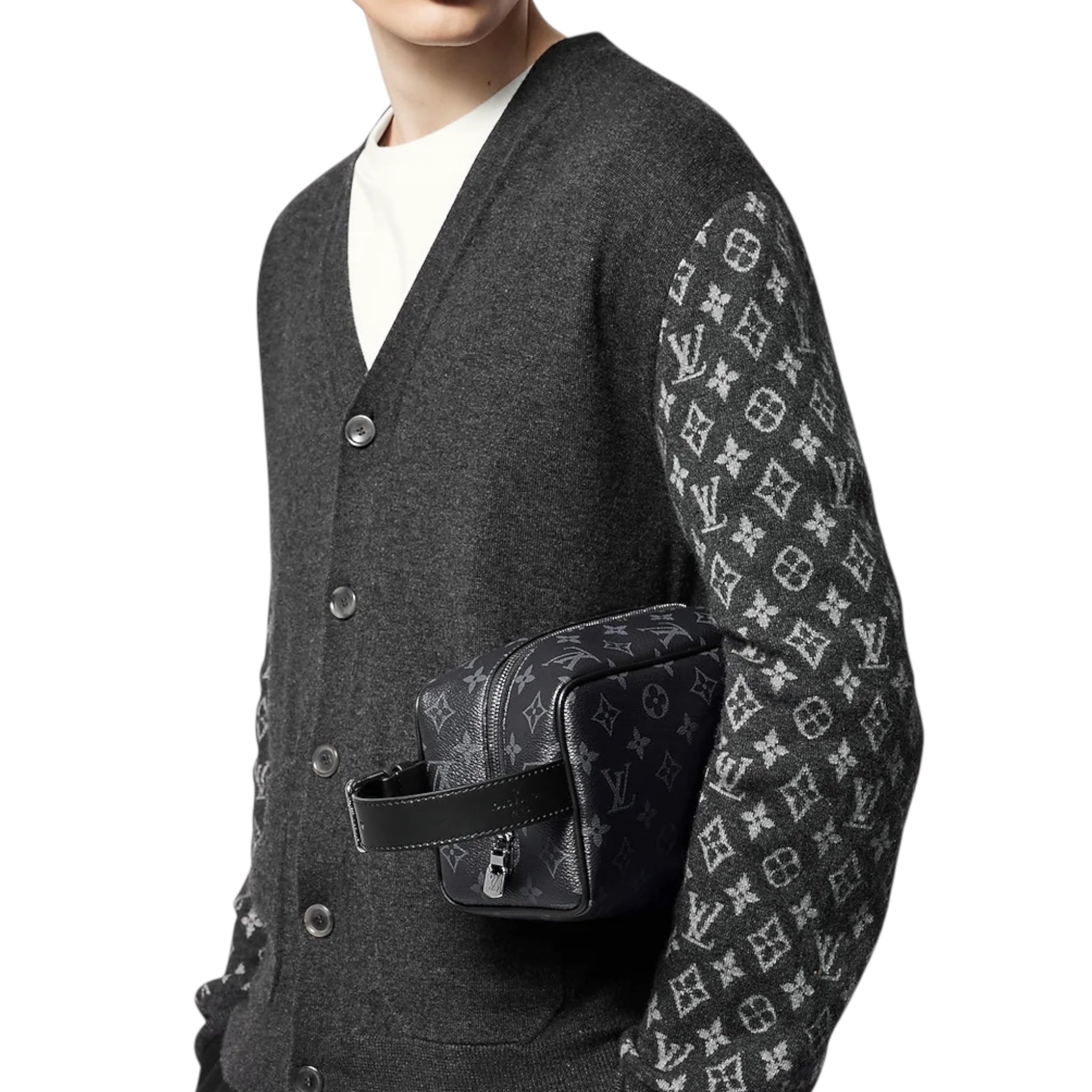 Louis Vuitton Hand Bag