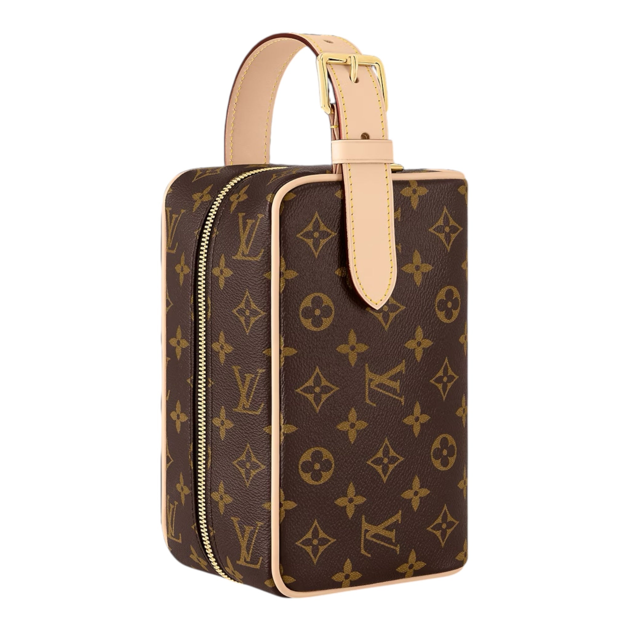 Louis Vuitton Hand Bag