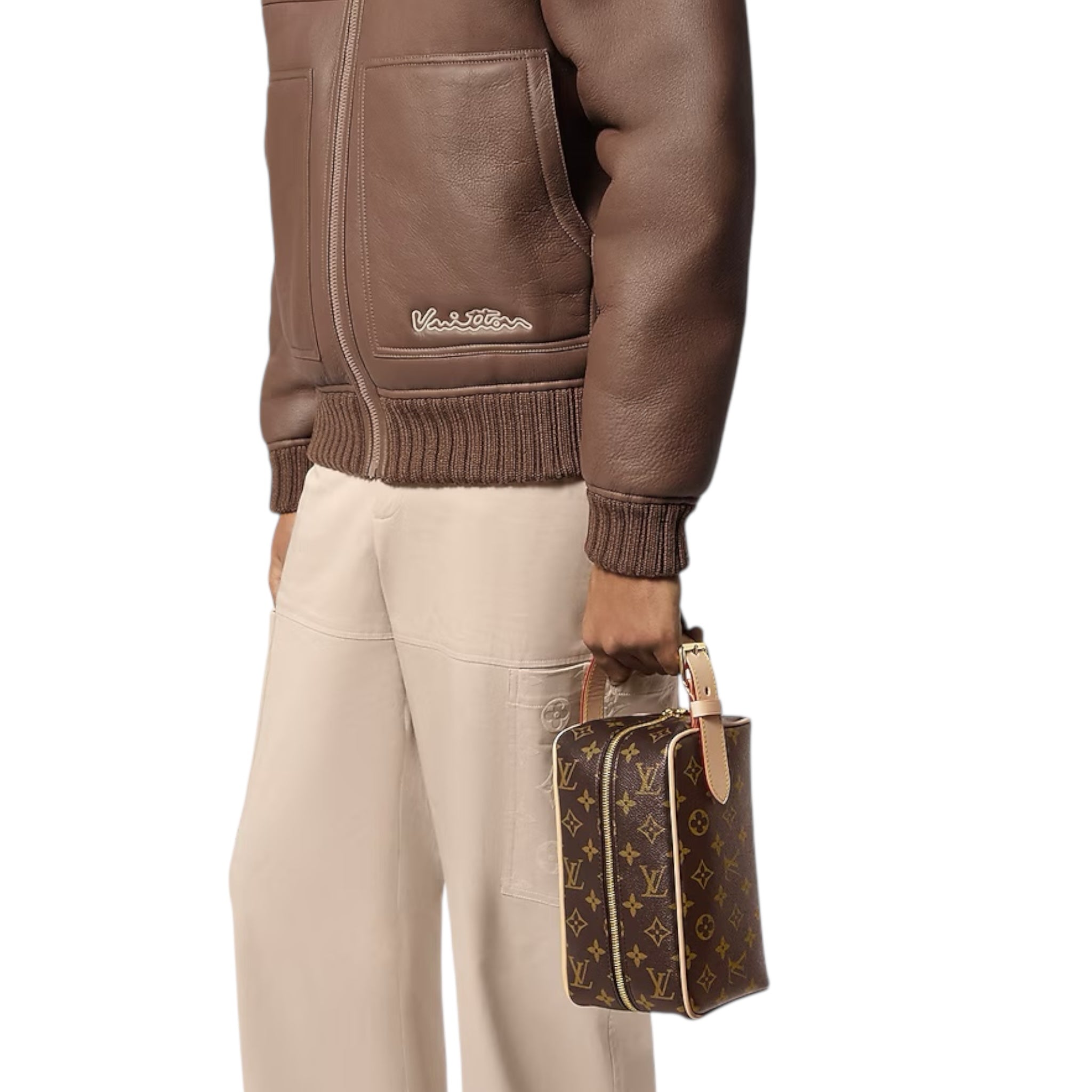 Louis Vuitton Hand Bag