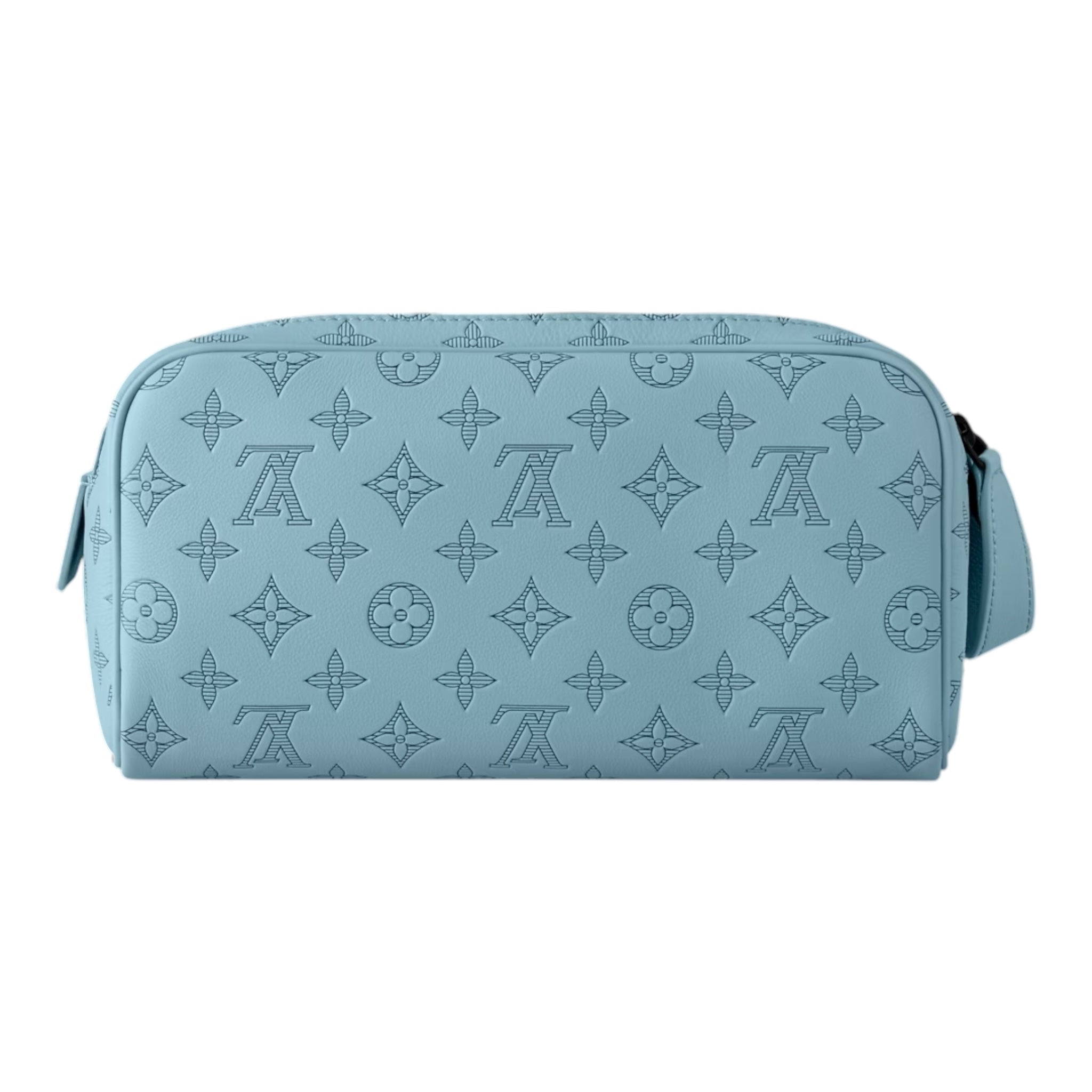 Louis Vuitton Hand Bag