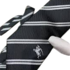 Tie Burberry