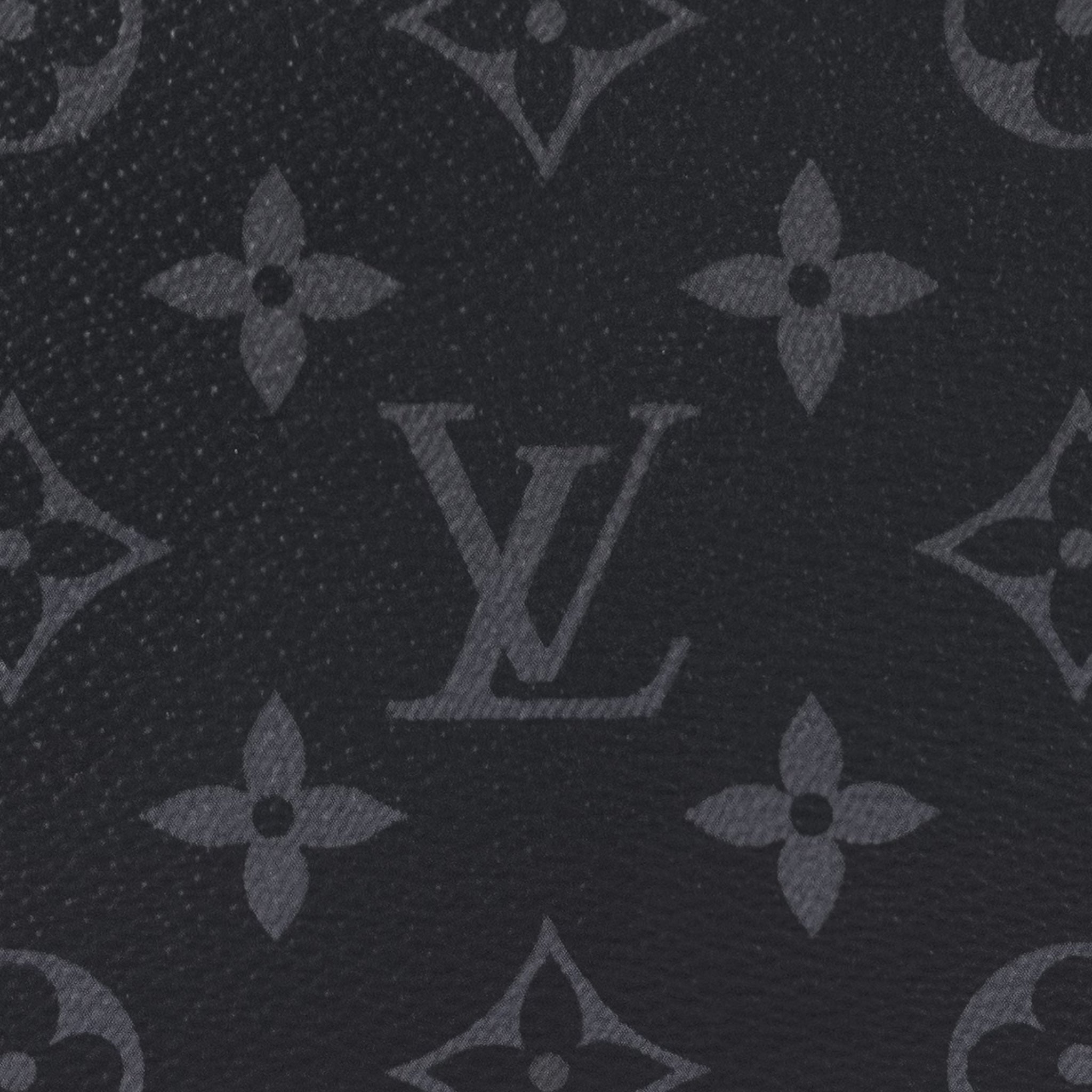 Louis Vuitton Hand Bag